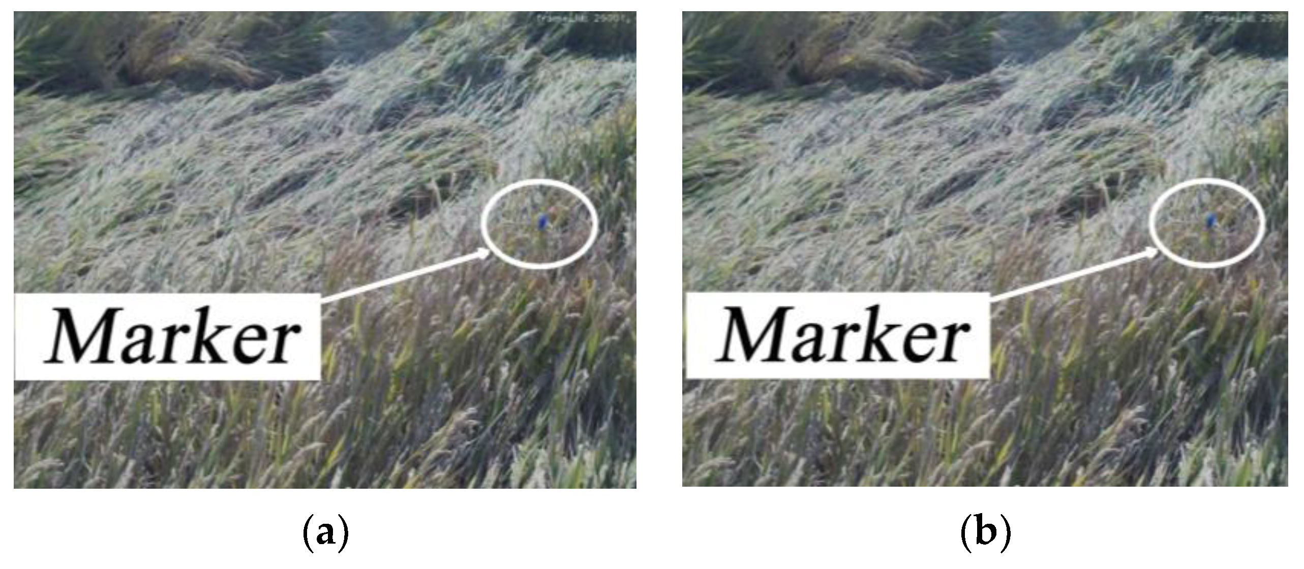 Agriculture 13 00120 g007 Agriculture 13 00120 g007