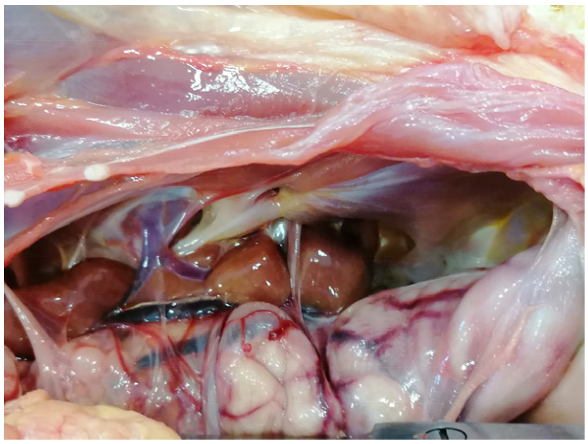 Agriculture 13 00138 g005