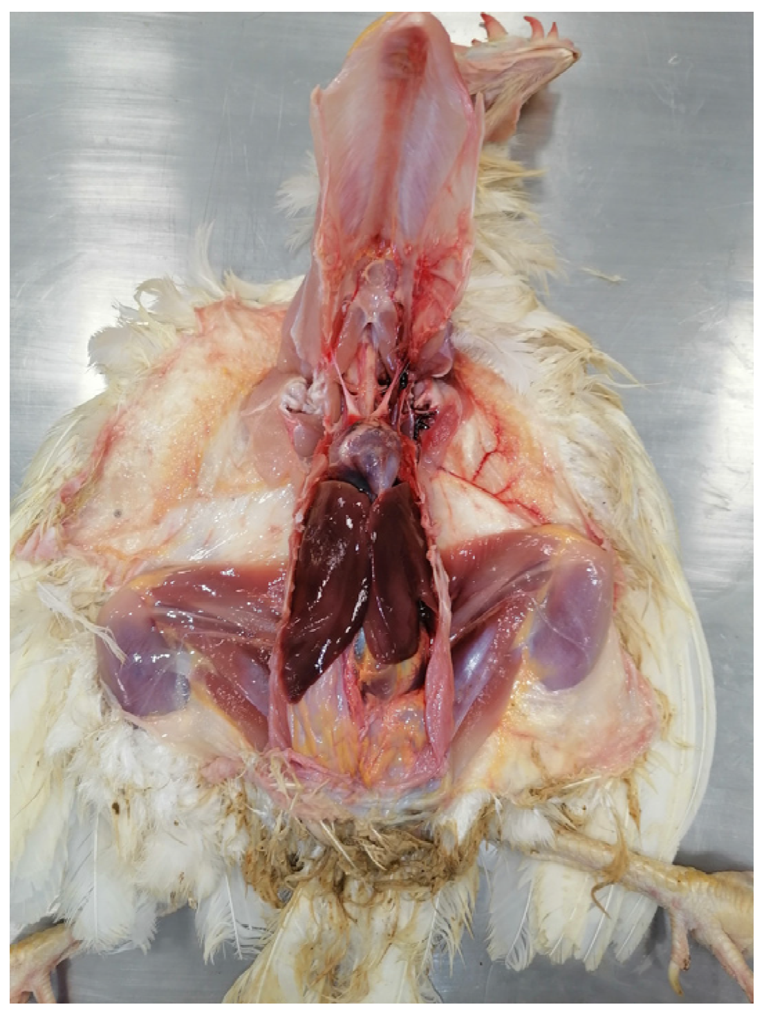 Agriculture 13 00138 g007