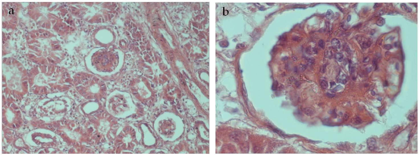 Agriculture 13 00138 g008