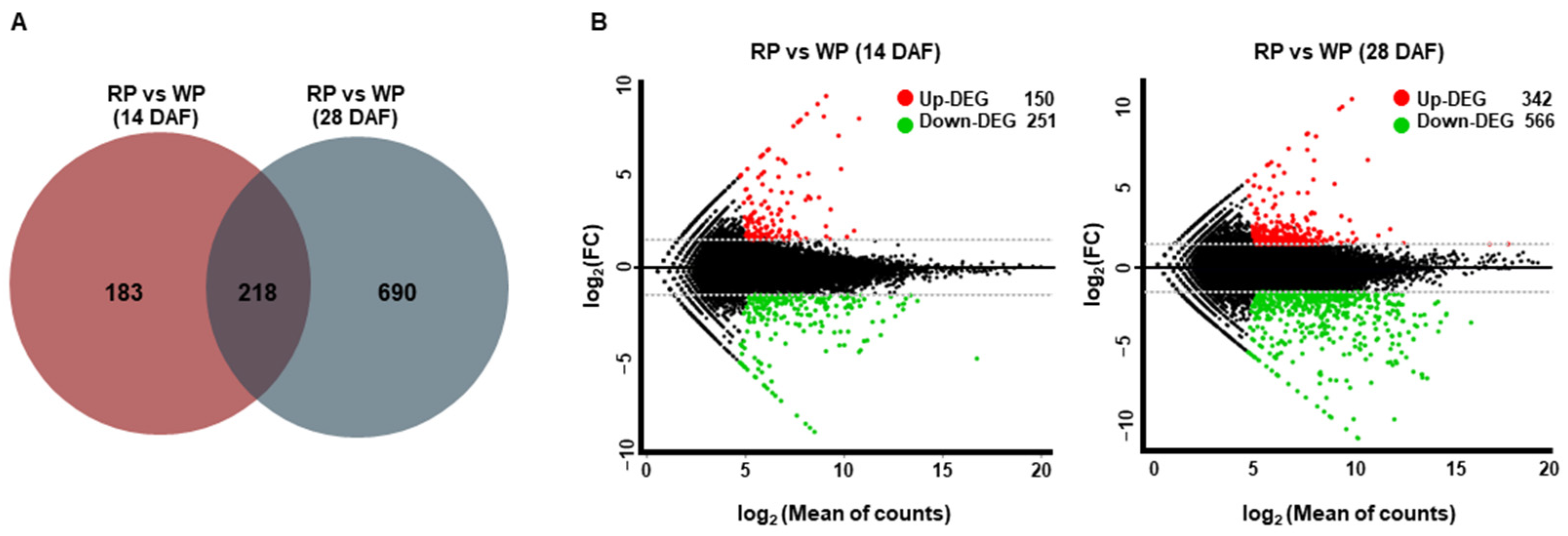 Agriculture 13 00183 g002