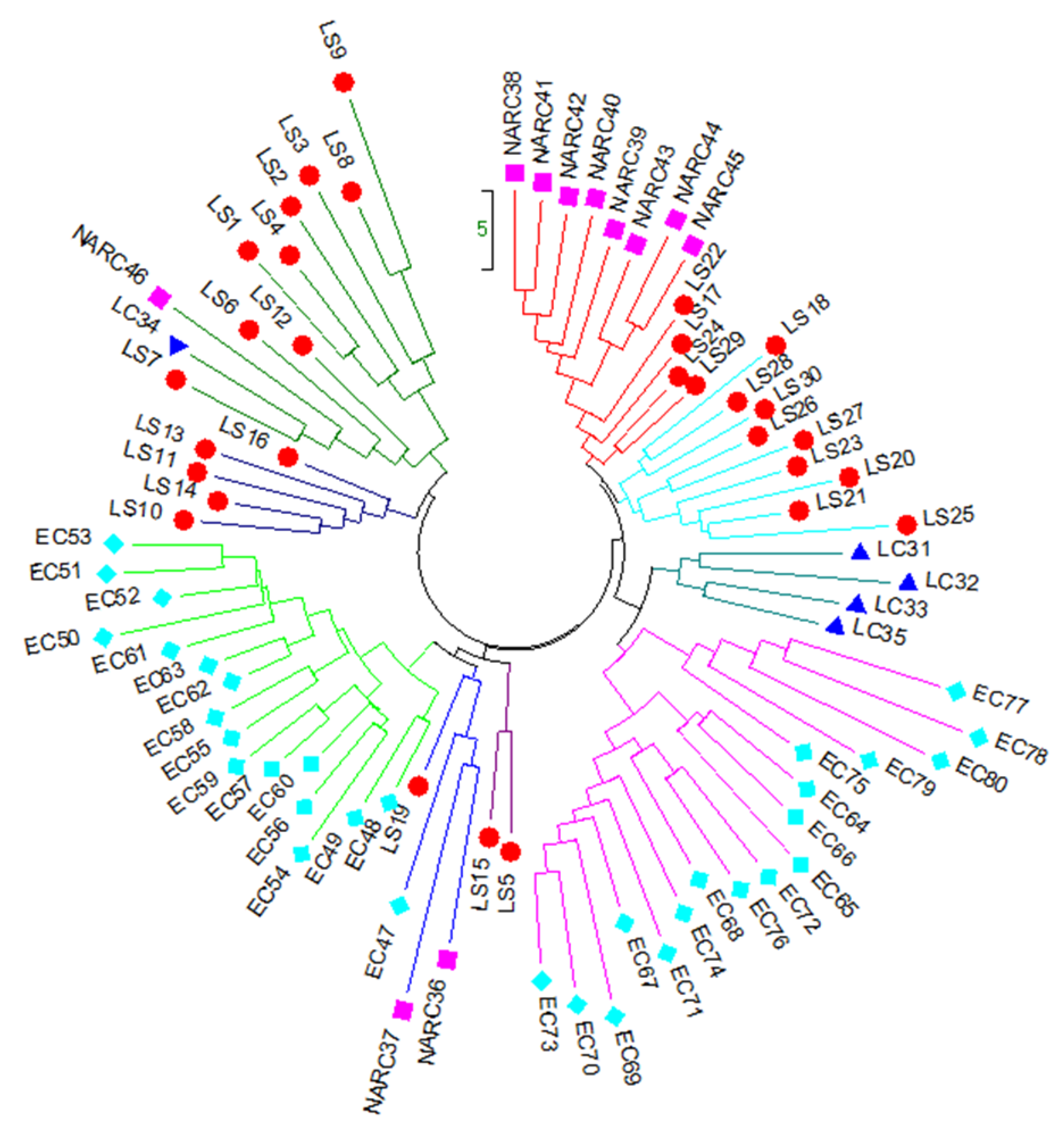 Agriculture 13 00185 g003