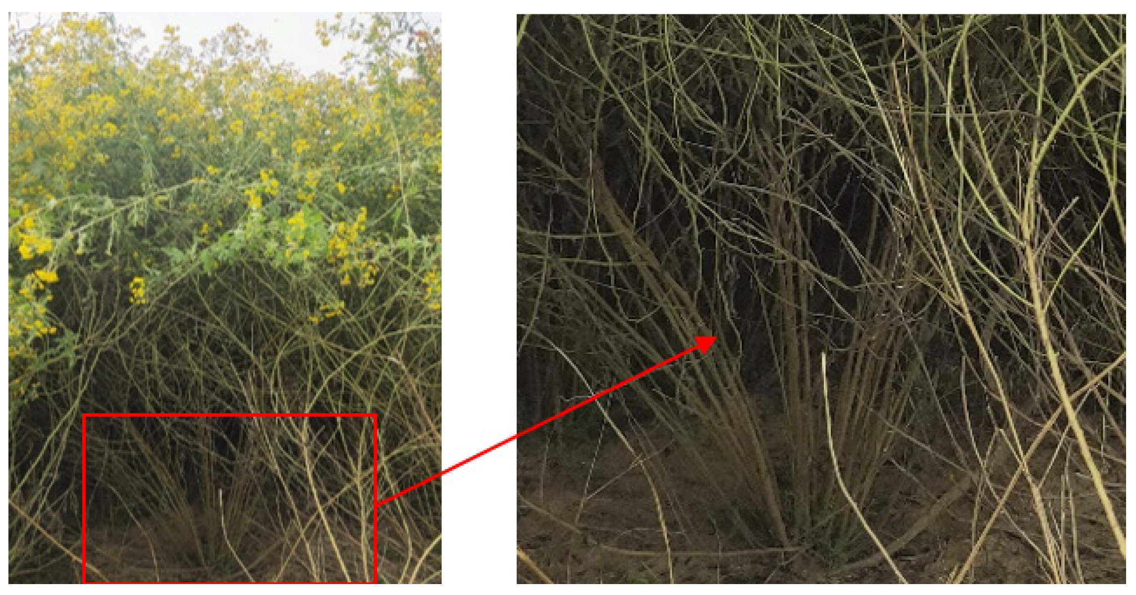 Agriculture 13 00190 g001