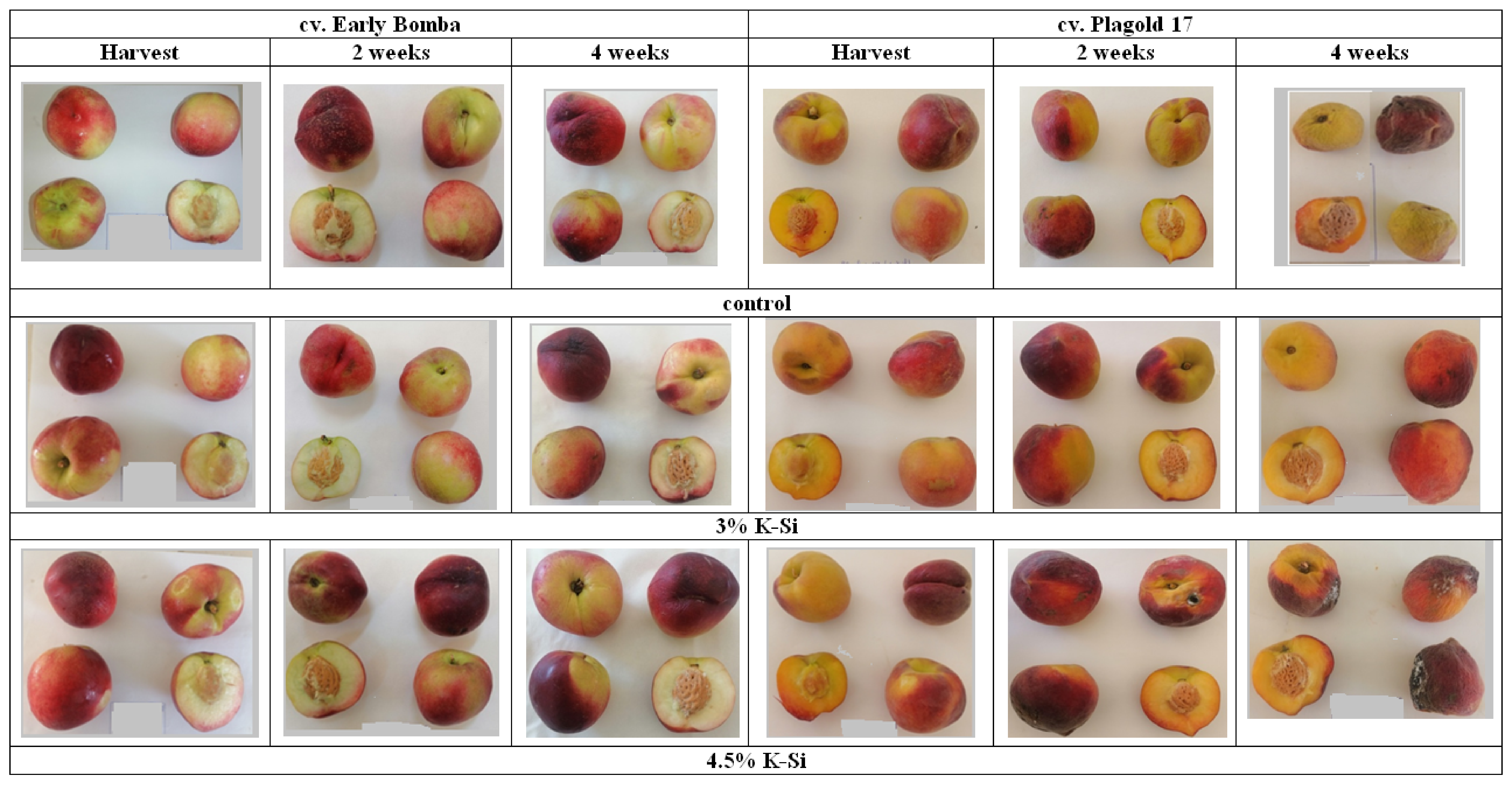 Agriculture 13 00195 g004