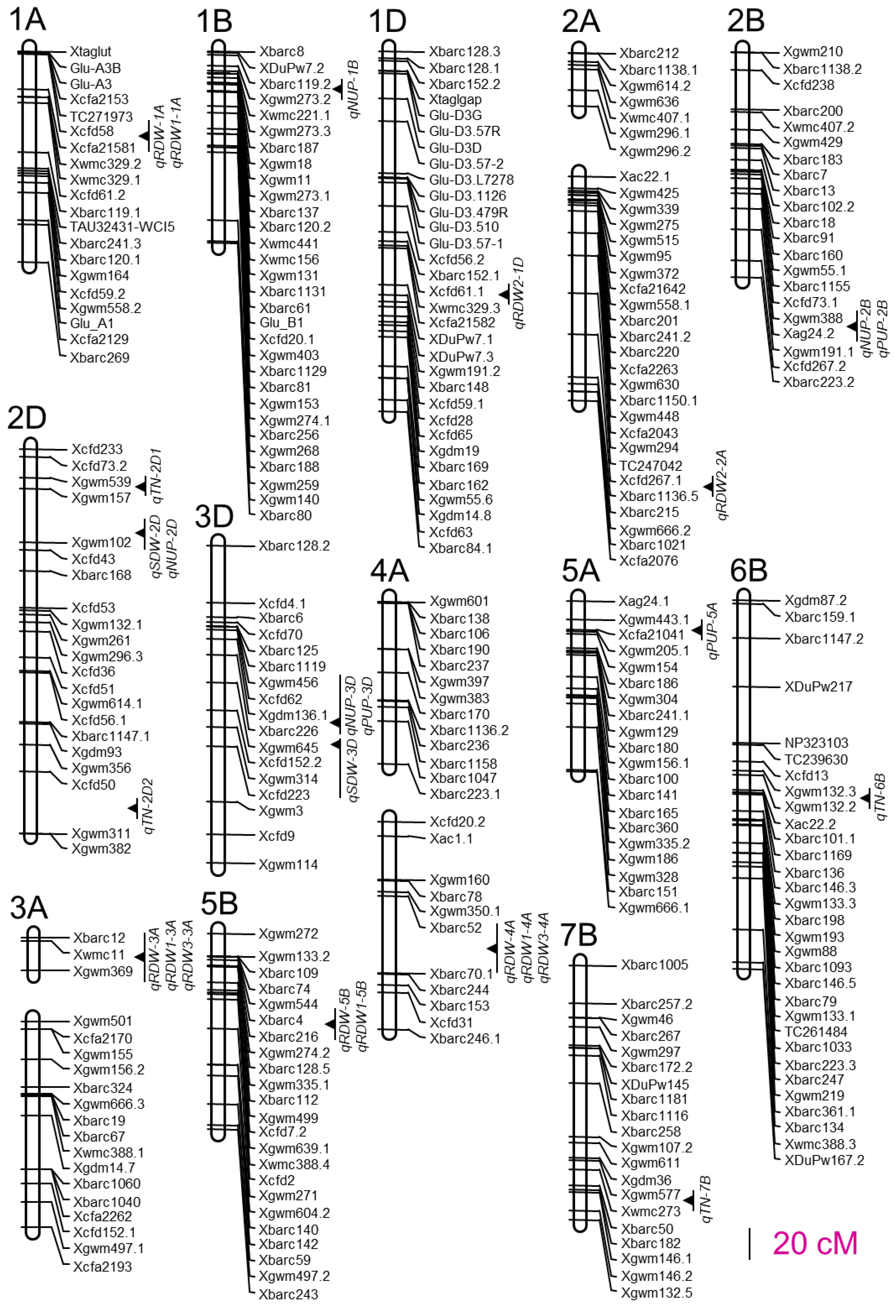 Agriculture 13 00210 g001