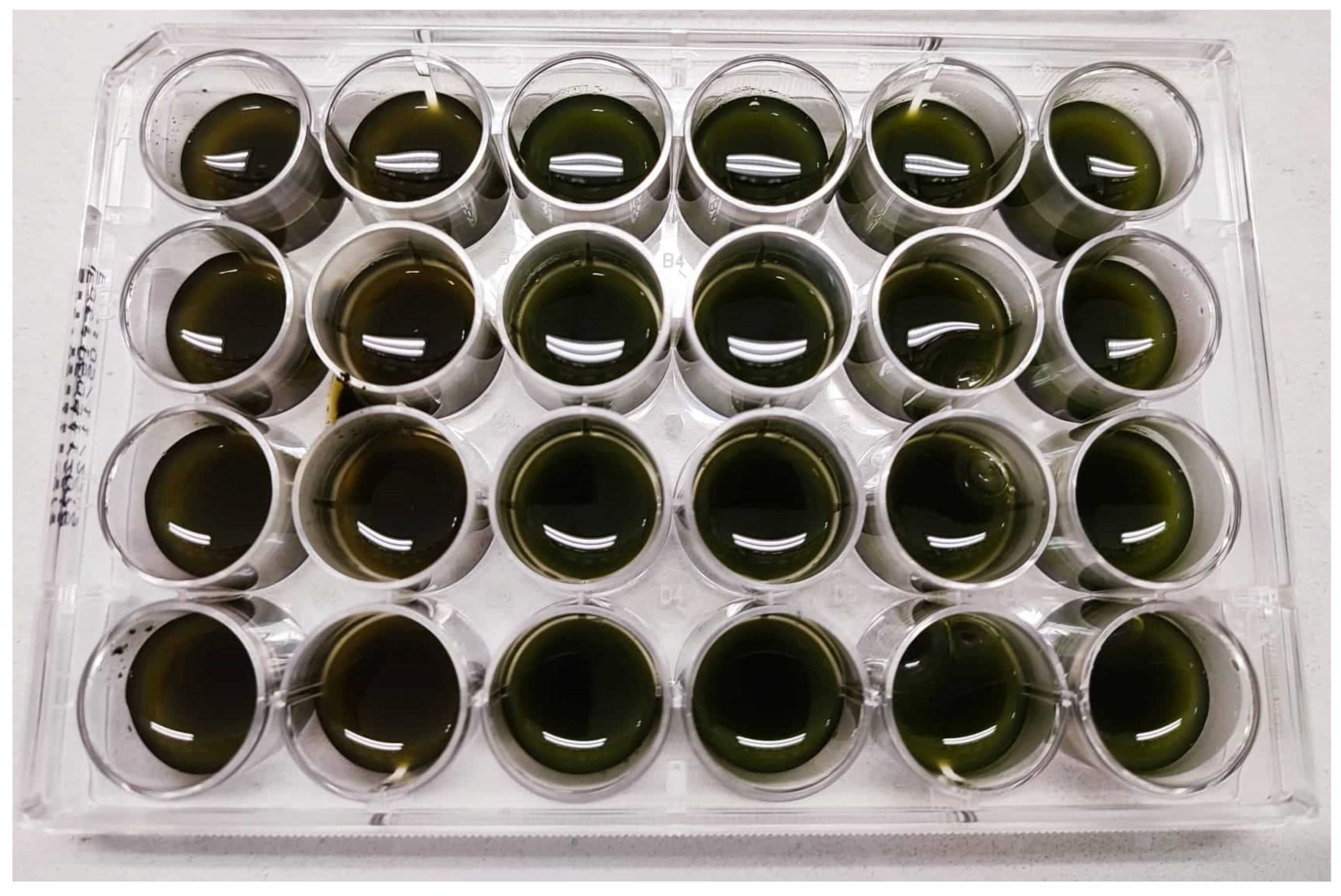 Agriculture 13 00221 g001