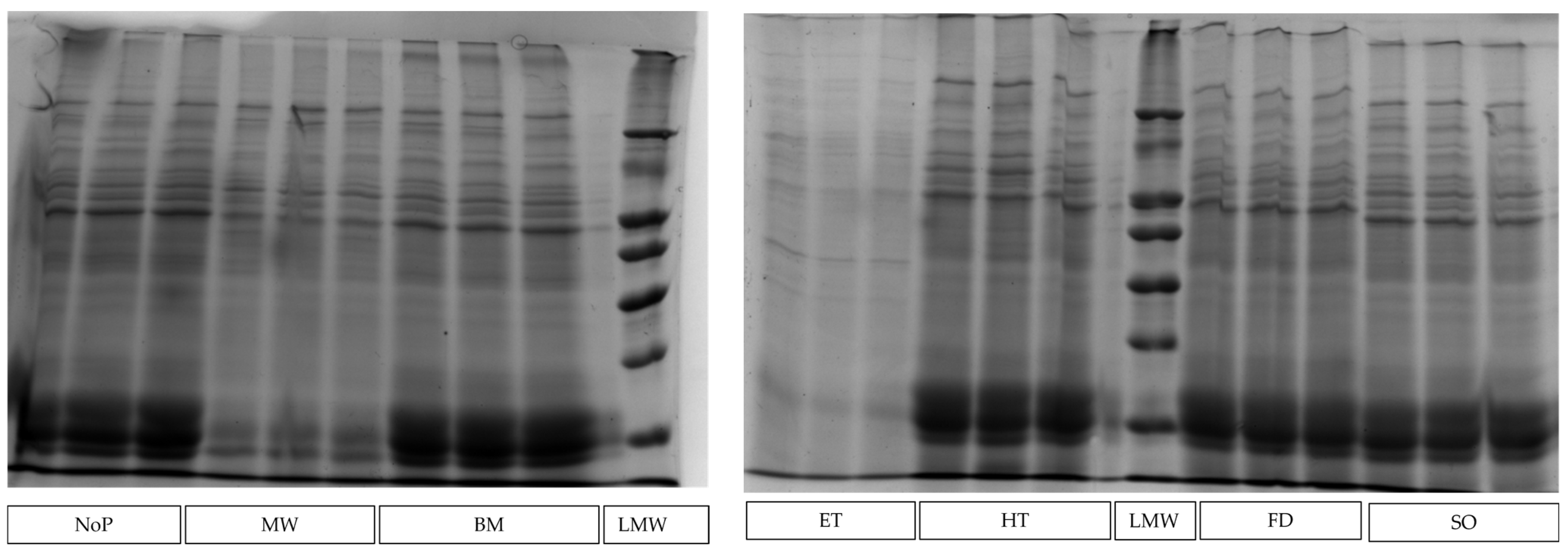 Agriculture 13 00221 g002