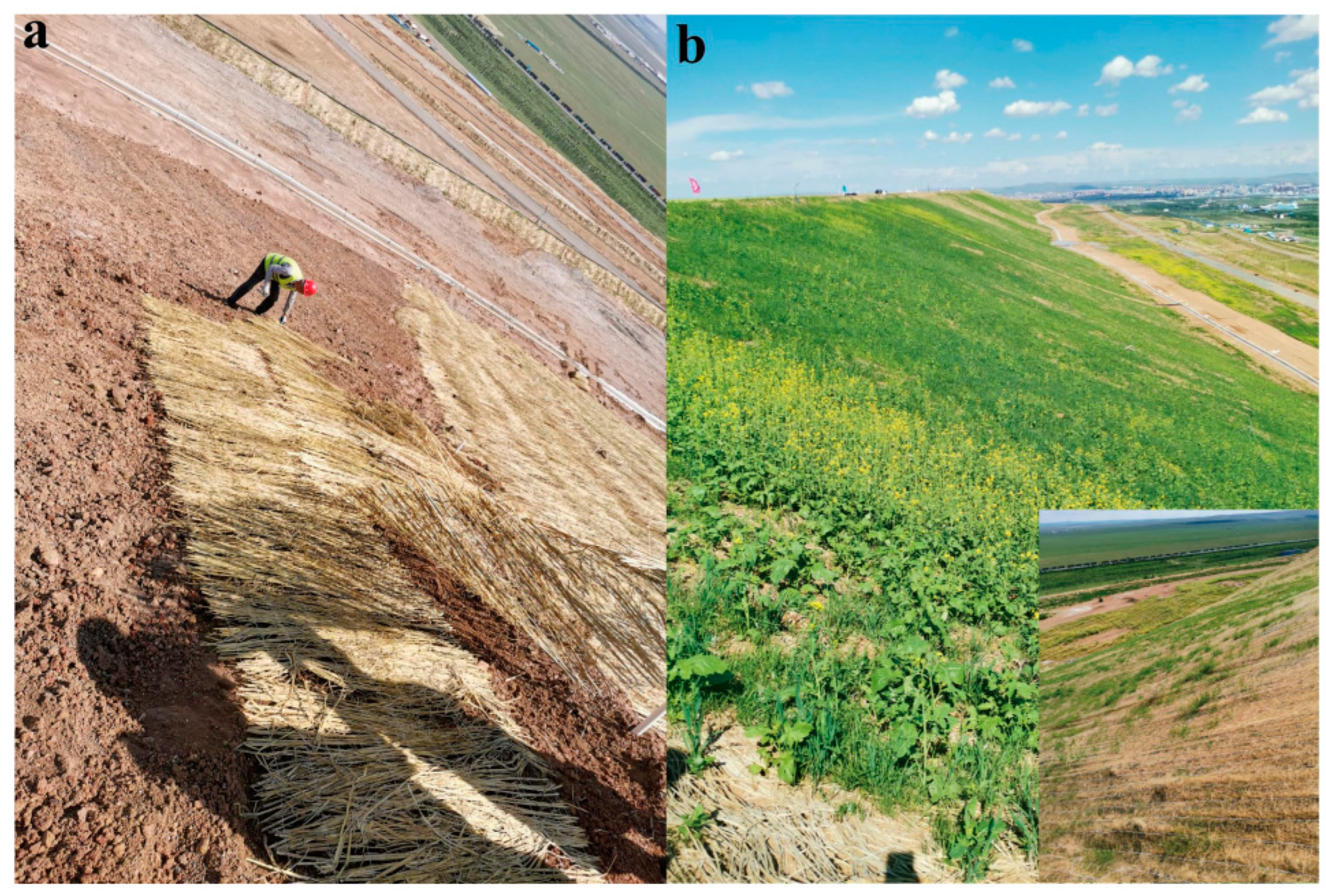Agriculture 13 00226 g005 Agriculture 13 00226 g005