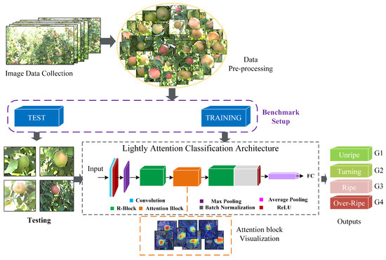 https://www.mdpi.com/agriculture/agriculture-13-00228/article_deploy/html/images/agriculture-13-00228-g001-550.jpg