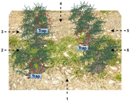 Agriculture | Free Full-Text | Cooperative Heterogeneous Robots For ...