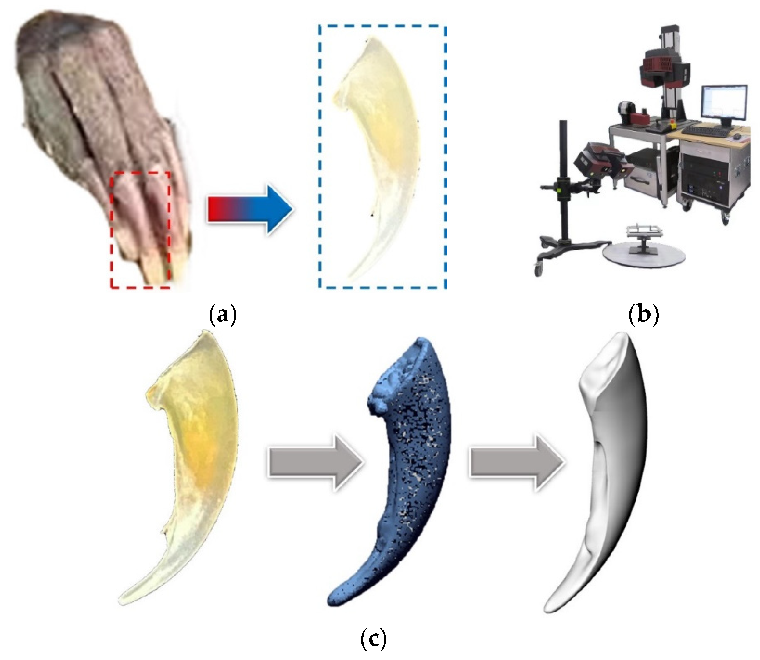 Agriculture 13 00254 g001 Agriculture 13 00254 g001