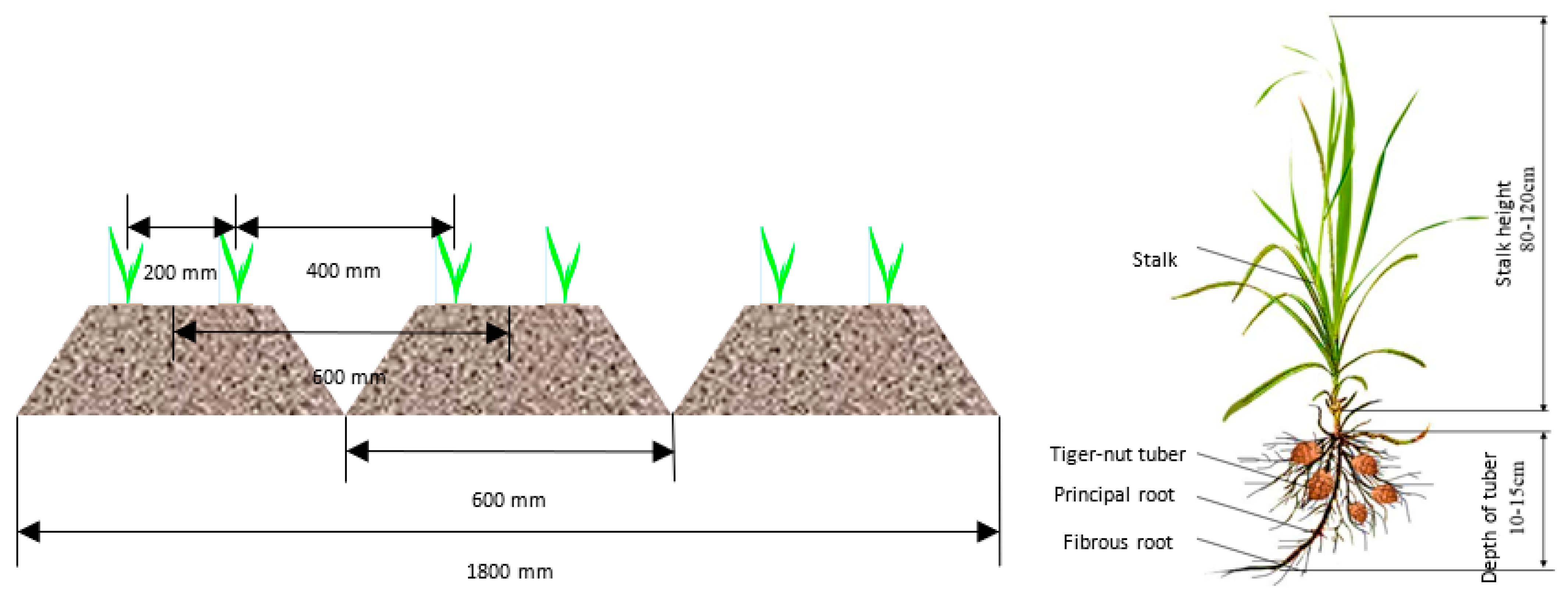 https://www.mdpi.com/agriculture/agriculture-13-00277/article_deploy/html/images/agriculture-13-00277-g001.png