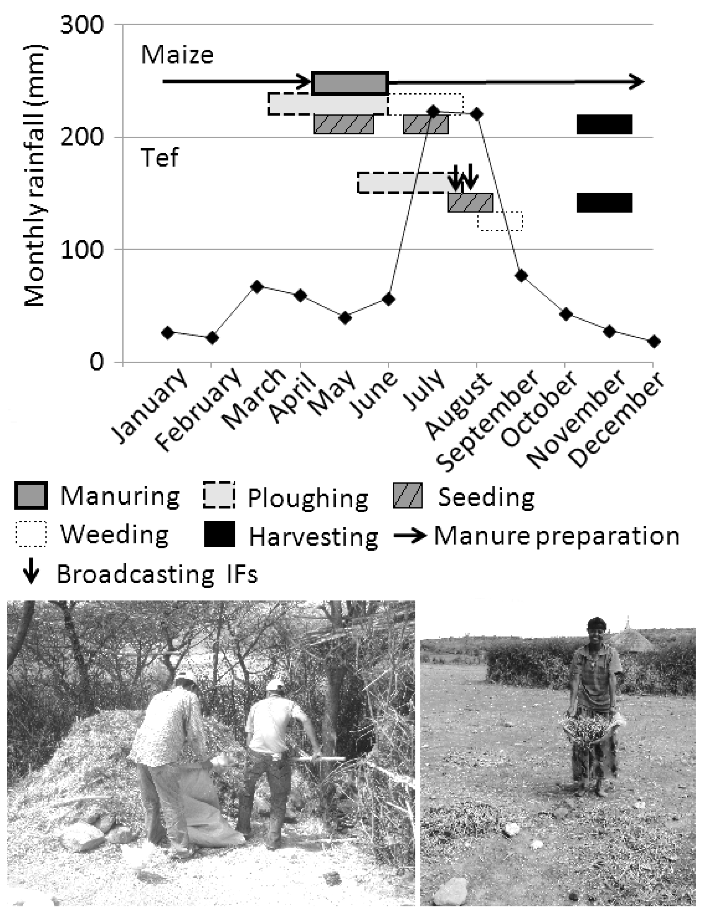 AFRICAN AGRONOMICS LIMITED