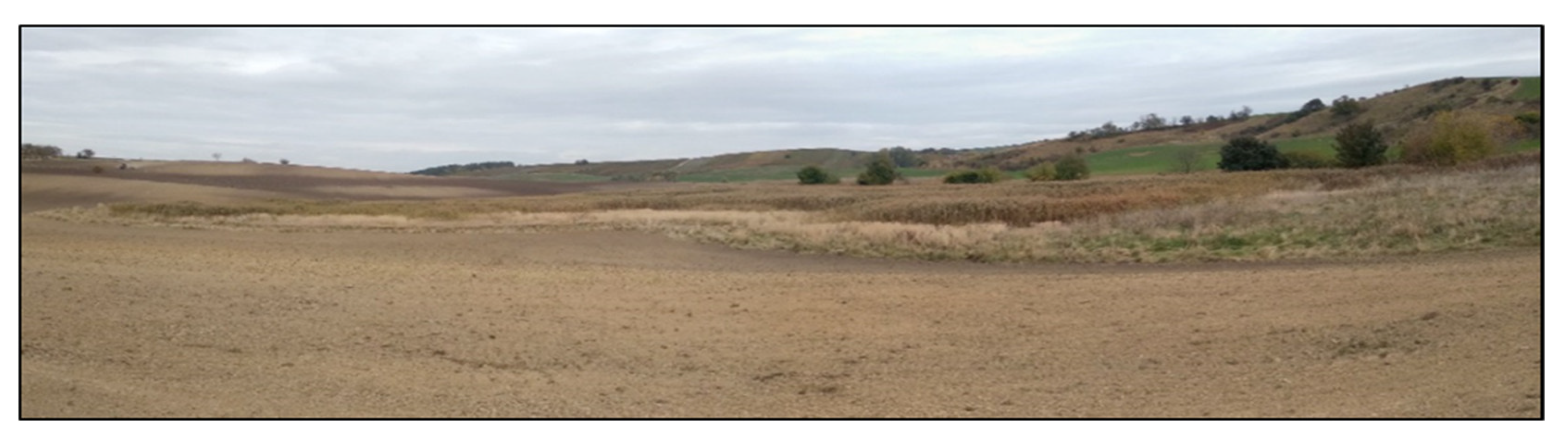 Agriculture 13 00287 g002