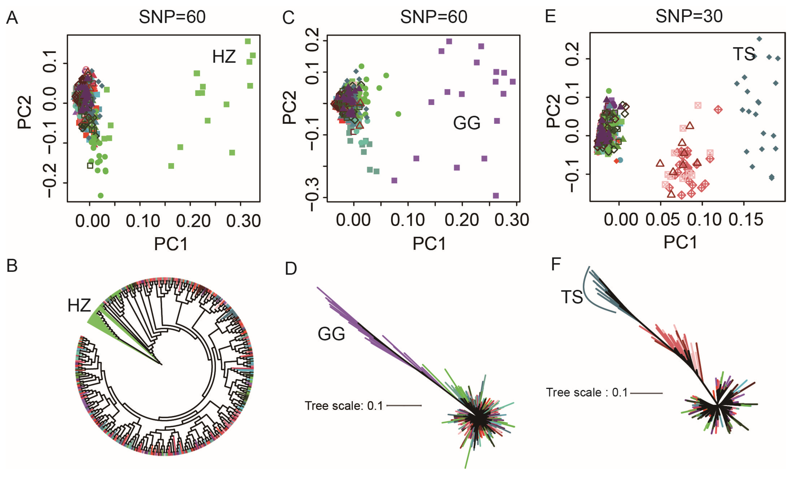 Agriculture 13 00322 g006