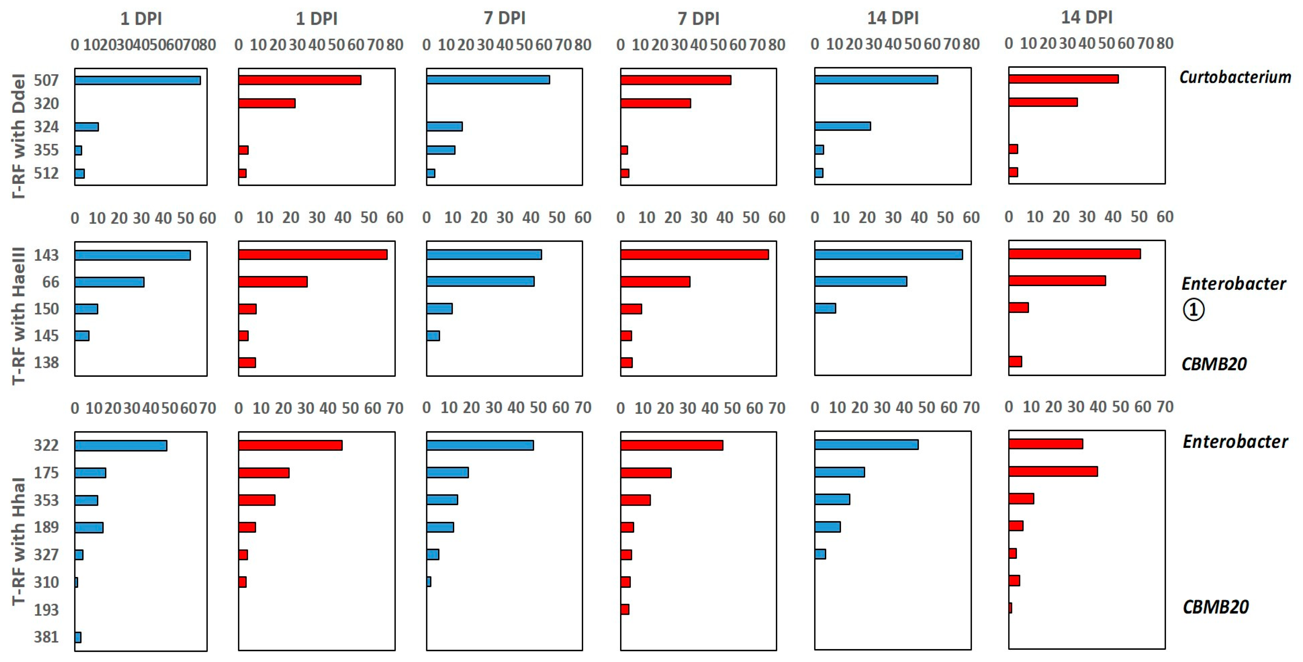 Agriculture 13 00355 g003 Agriculture 13 00355 g003