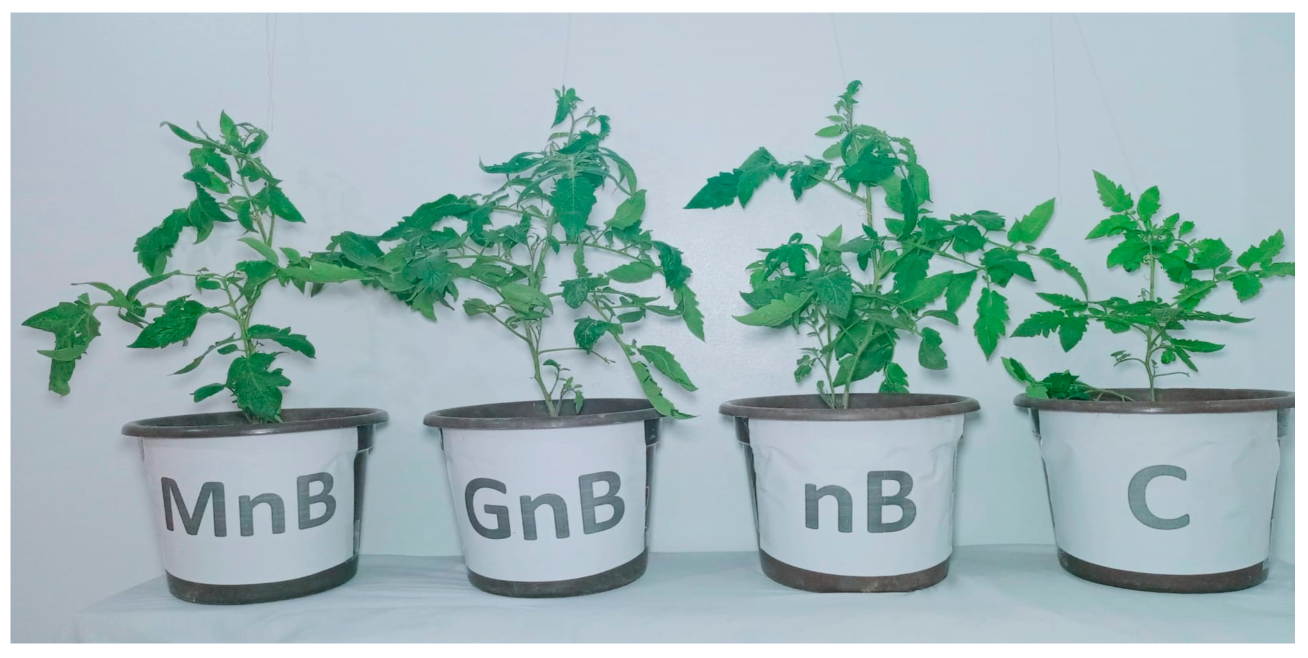 Agriculture 13 00366 g001