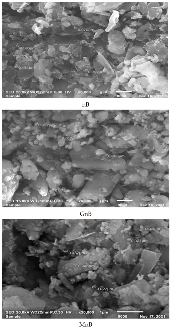 Agriculture 13 00366 g002