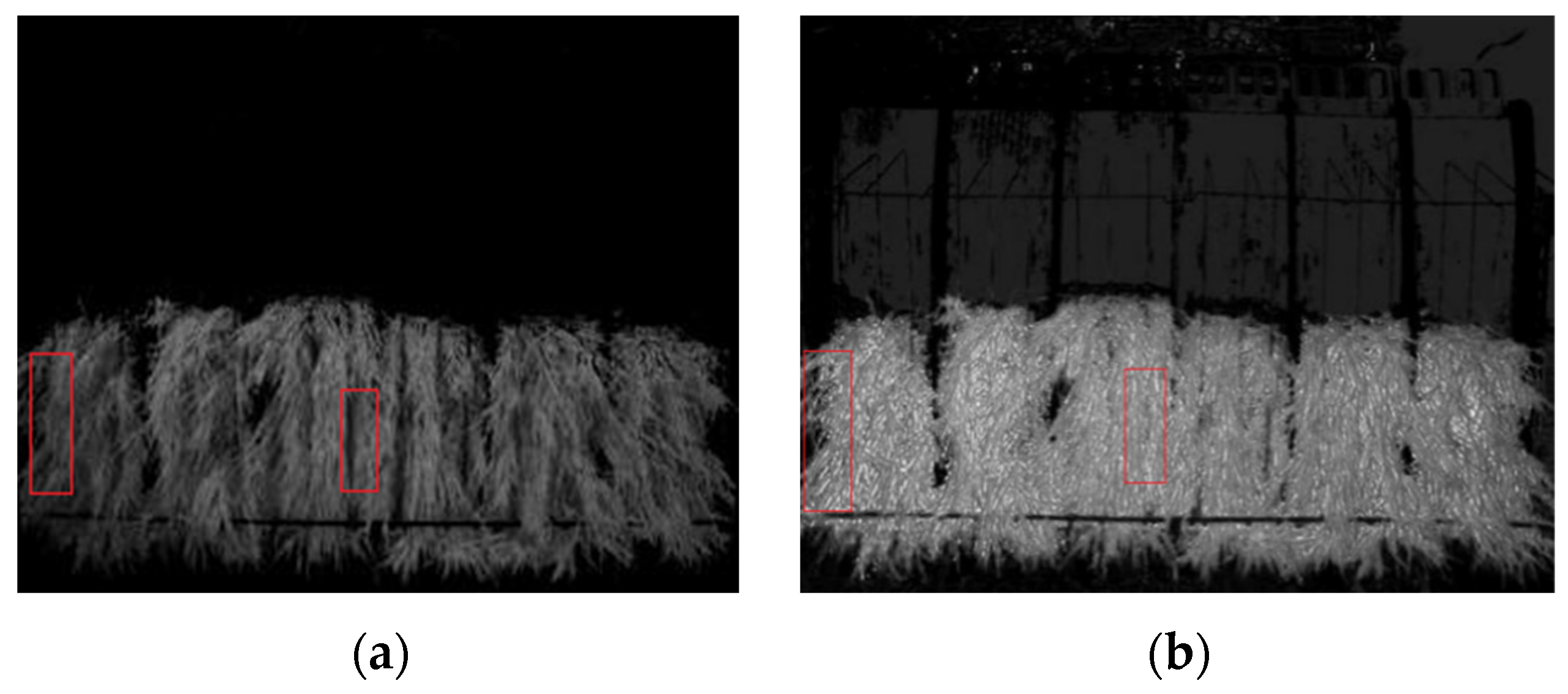 Agriculture 13 00371 g009 Agriculture 13 00371 g009