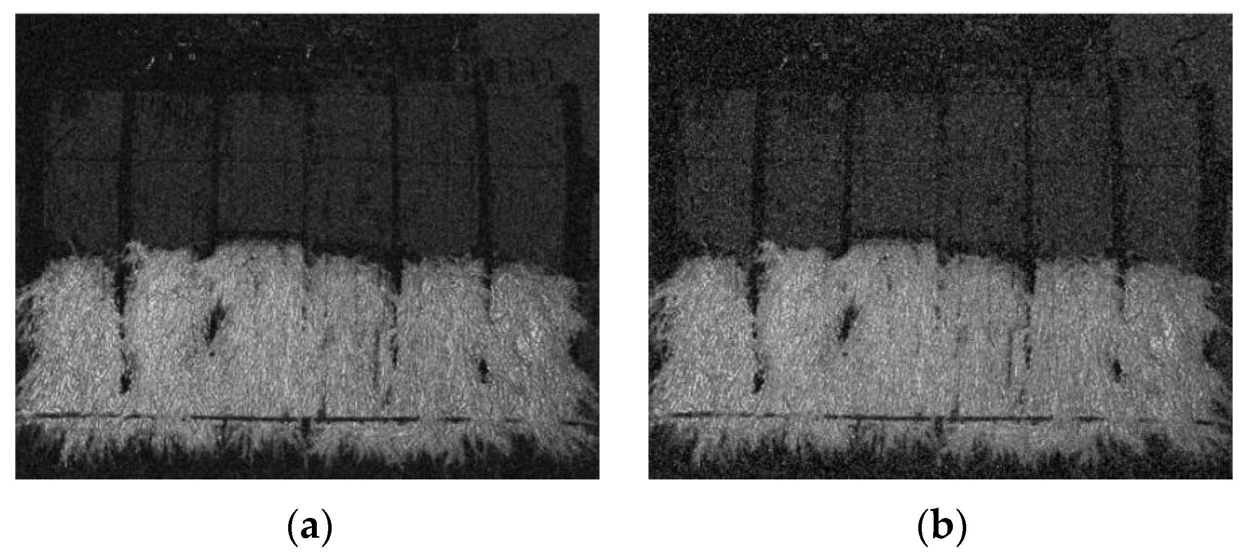 Agriculture 13 00371 g010 Agriculture 13 00371 g010