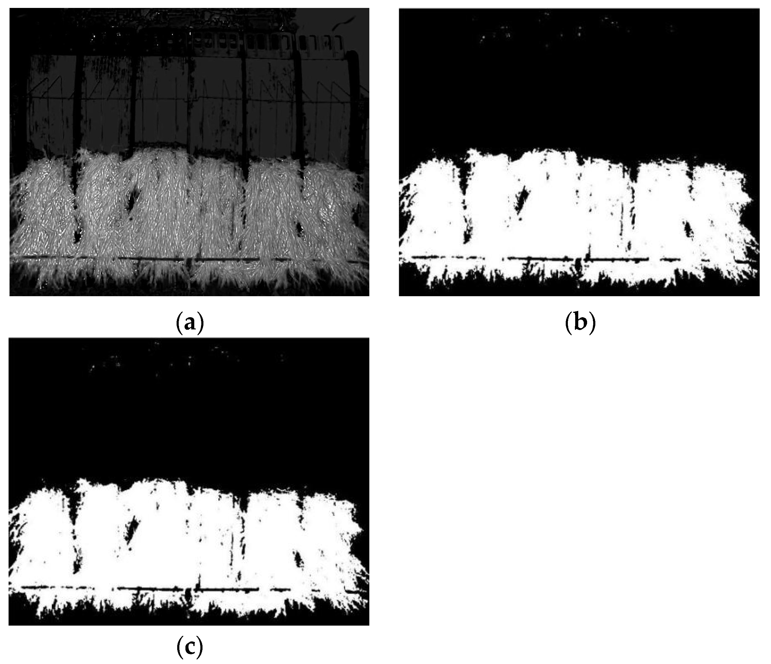 Agriculture 13 00371 g013 Agriculture 13 00371 g013