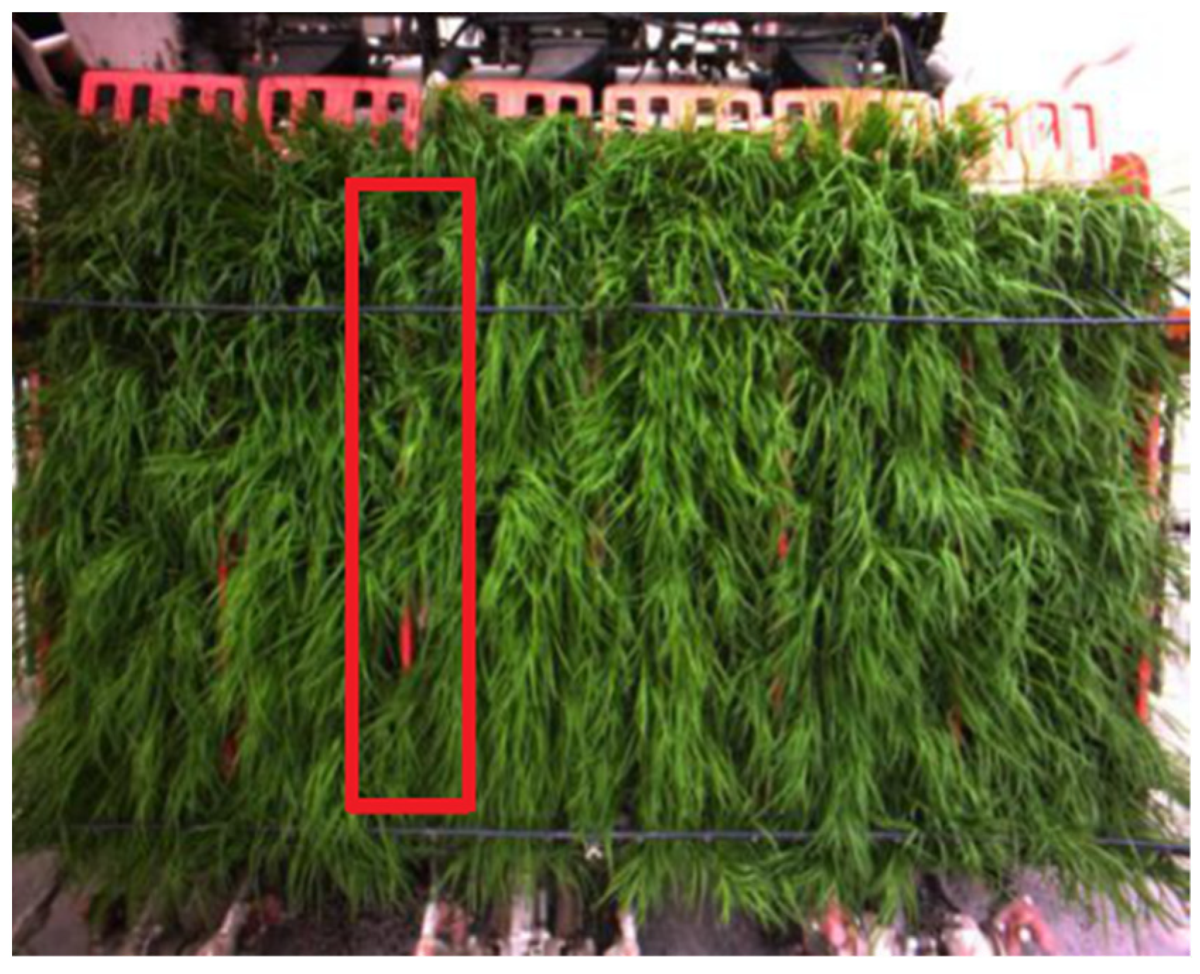 Agriculture 13 00371 g014 Agriculture 13 00371 g014