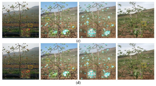 Last Effective Bloom Date: how is it calculated and what does it mean? - UT  Crops News