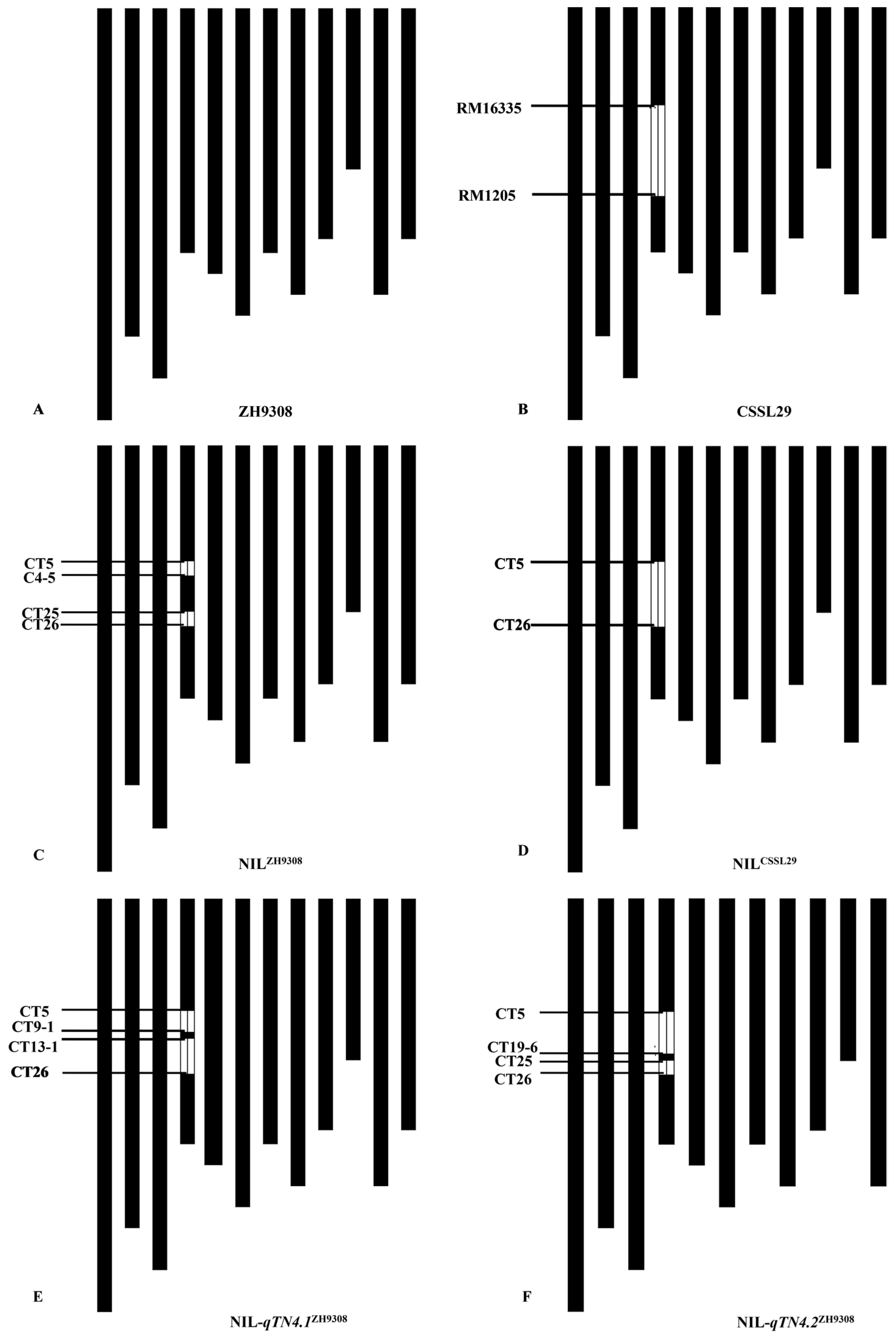 Agriculture 13 00411 g001 Agriculture 13 00411 g001