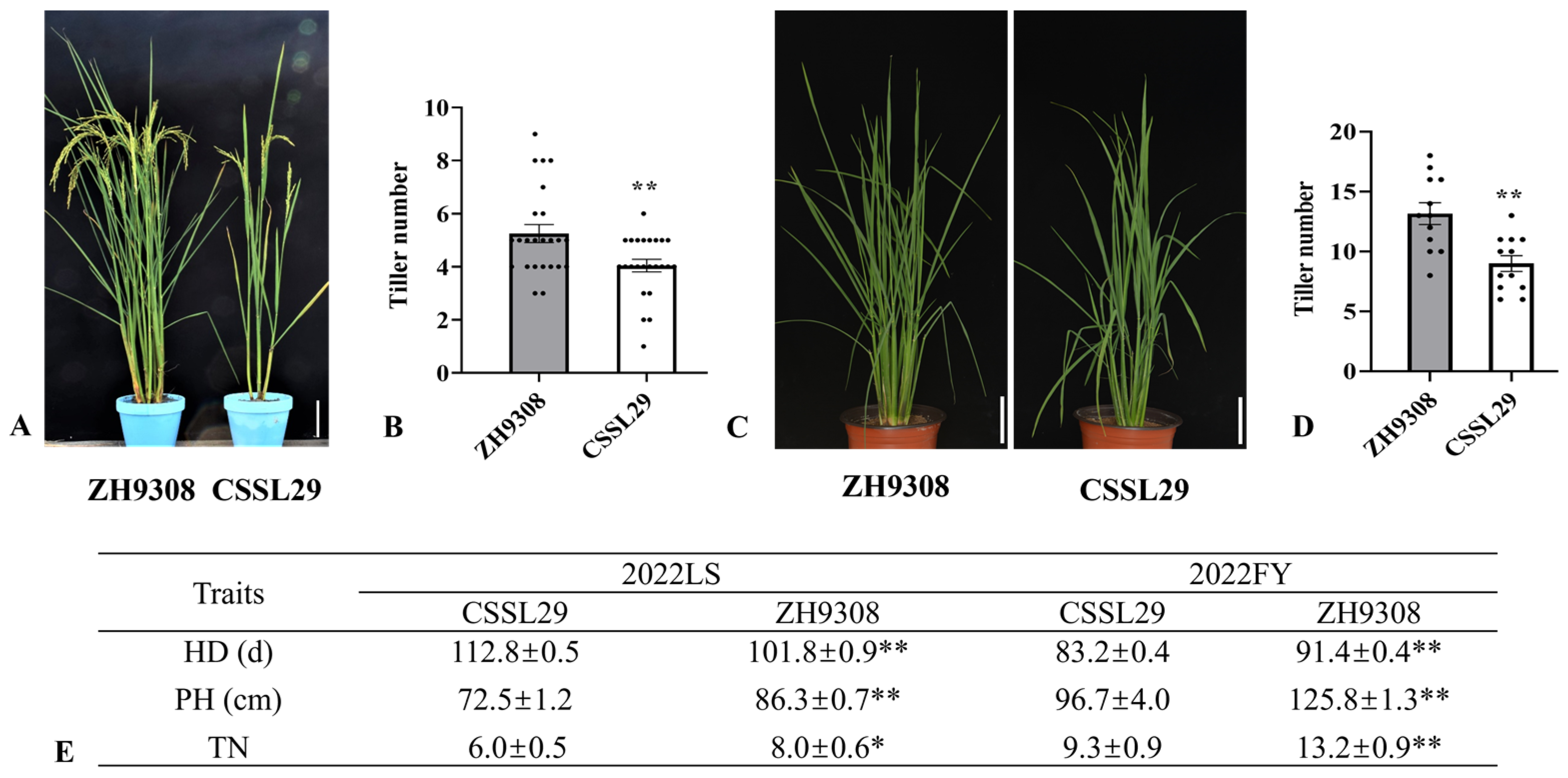 Agriculture 13 00411 g003 Agriculture 13 00411 g003
