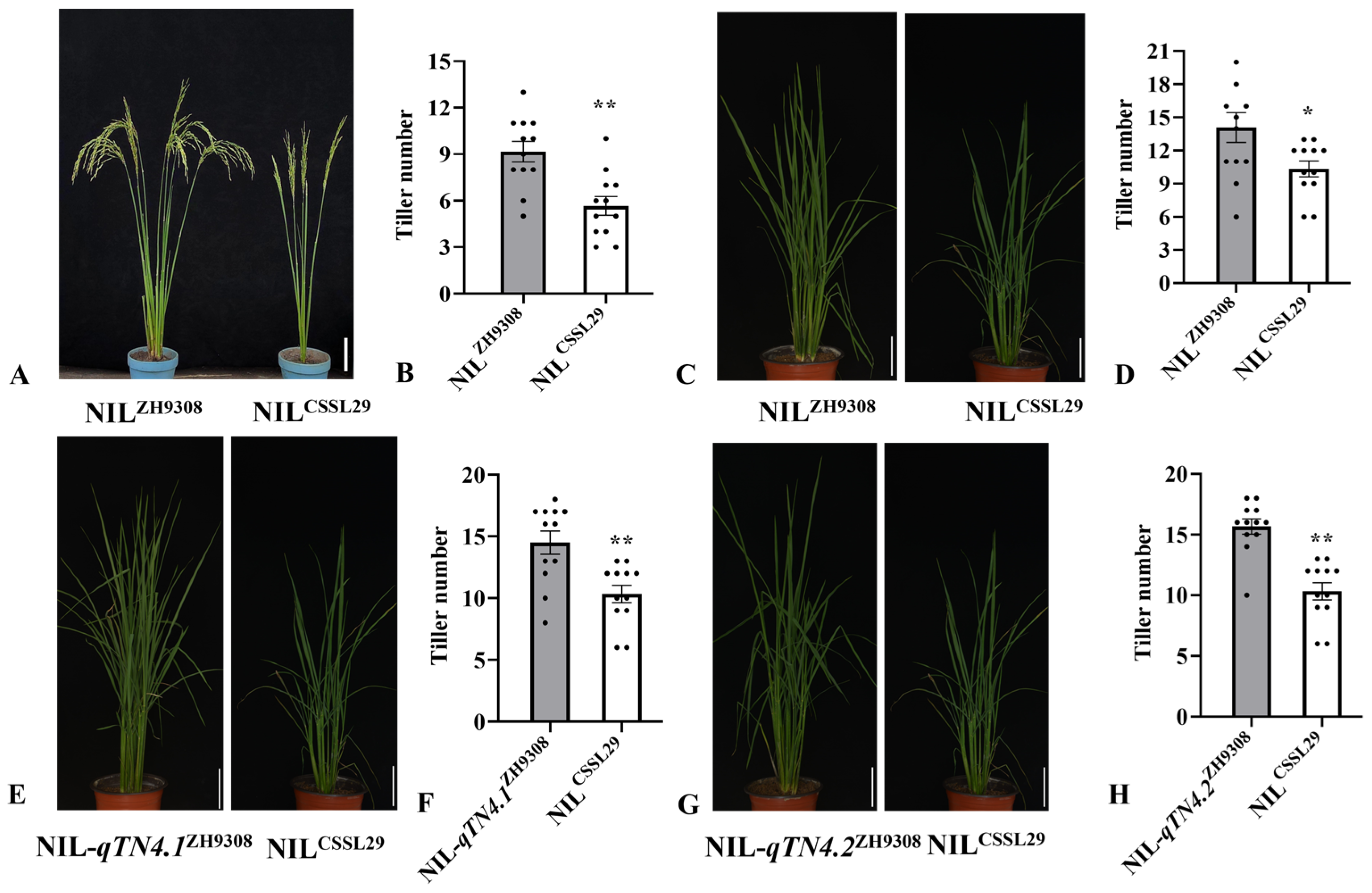 Agriculture 13 00411 g005 Agriculture 13 00411 g005