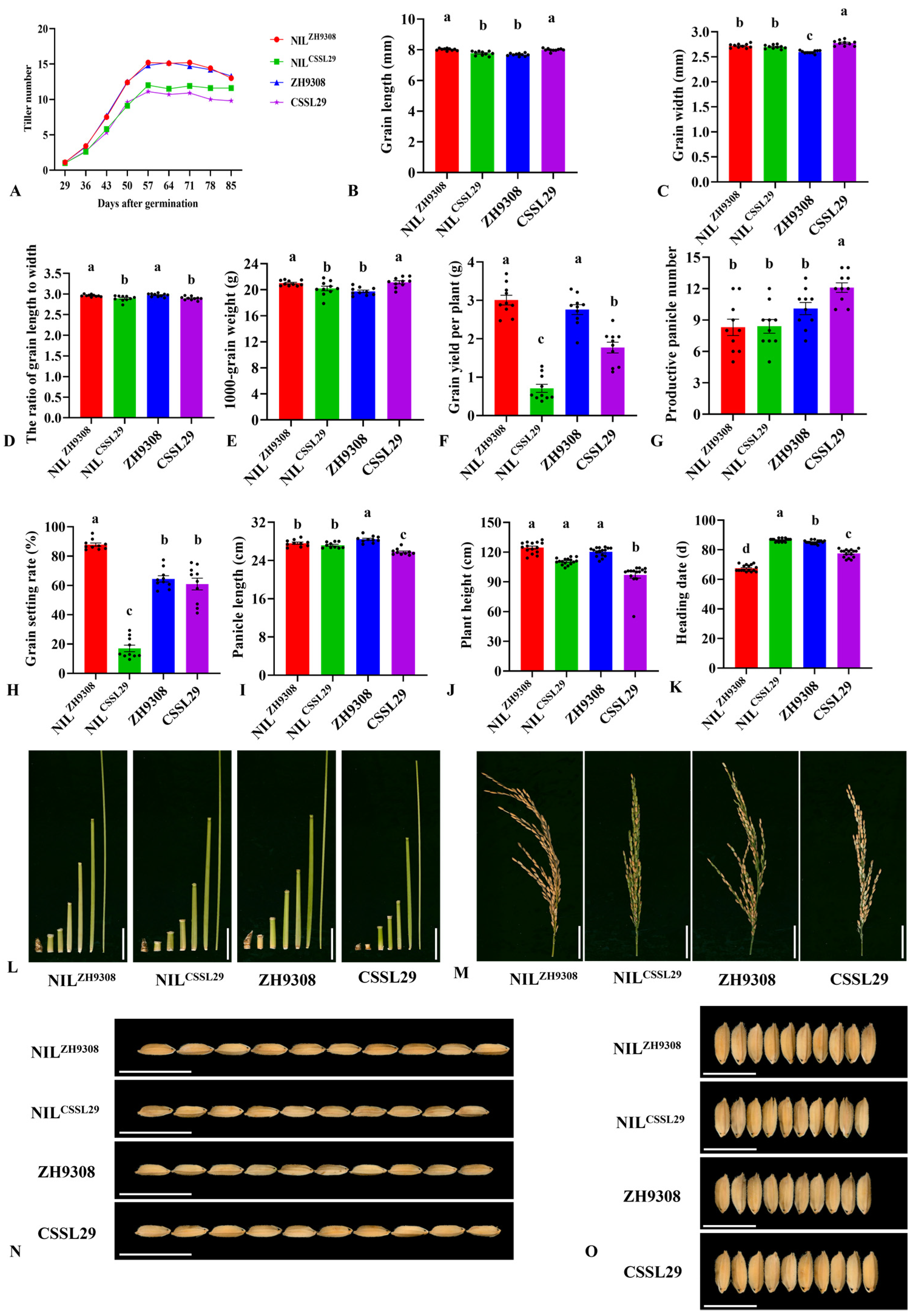 Agriculture 13 00411 g007 Agriculture 13 00411 g007