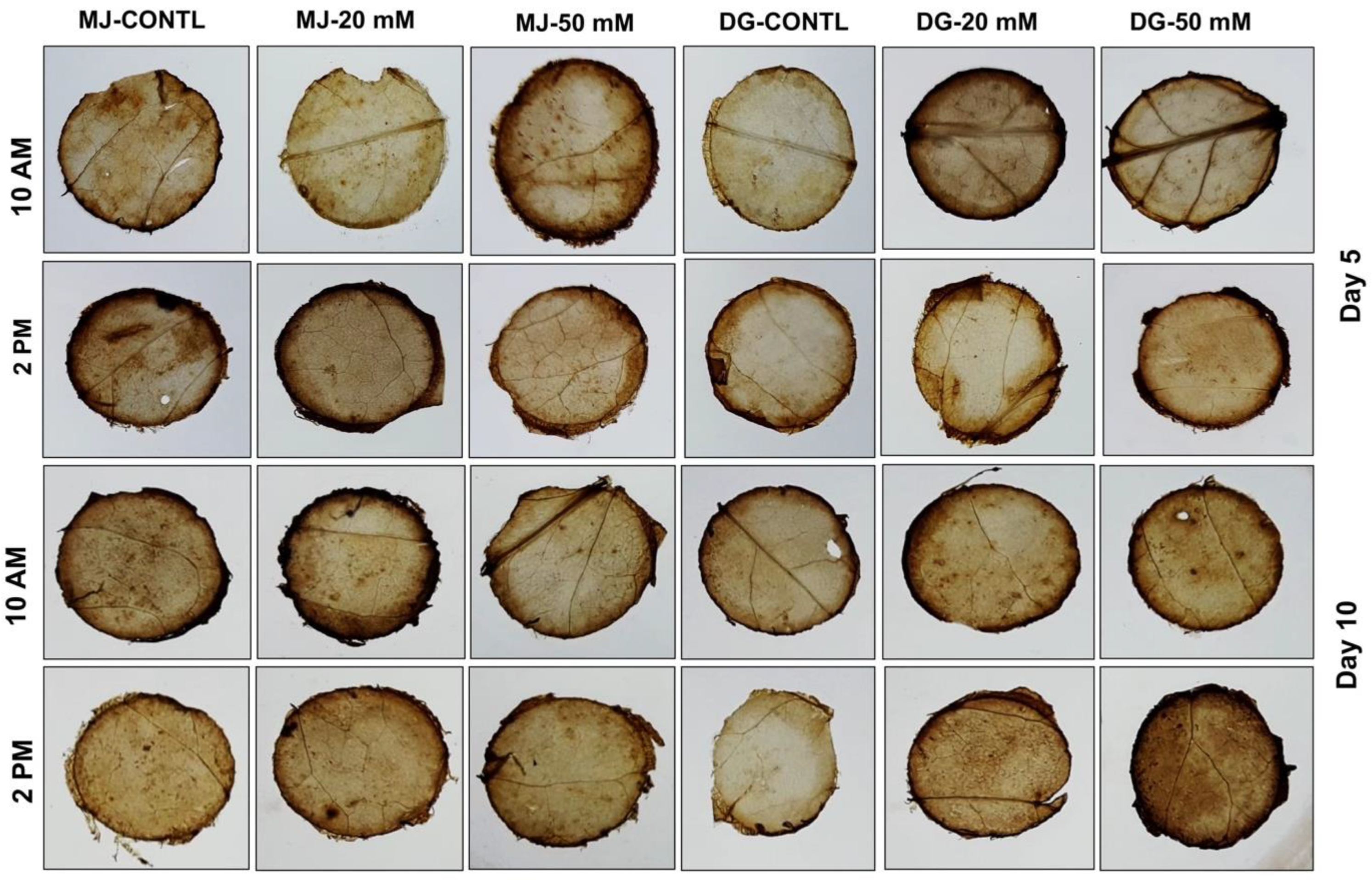 Agriculture 13 00429 g004 Agriculture 13 00429 g004