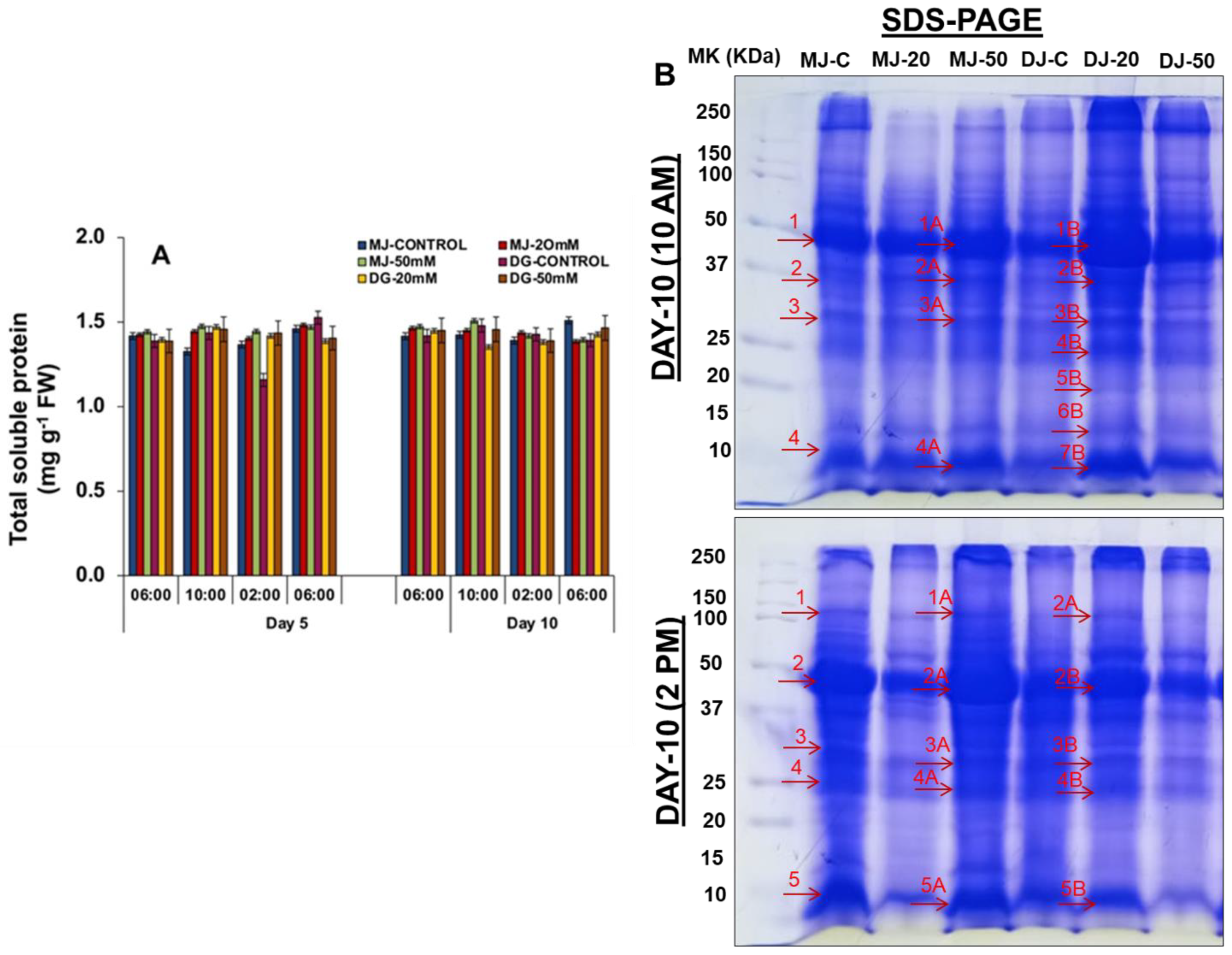 Agriculture 13 00429 g011 Agriculture 13 00429 g011