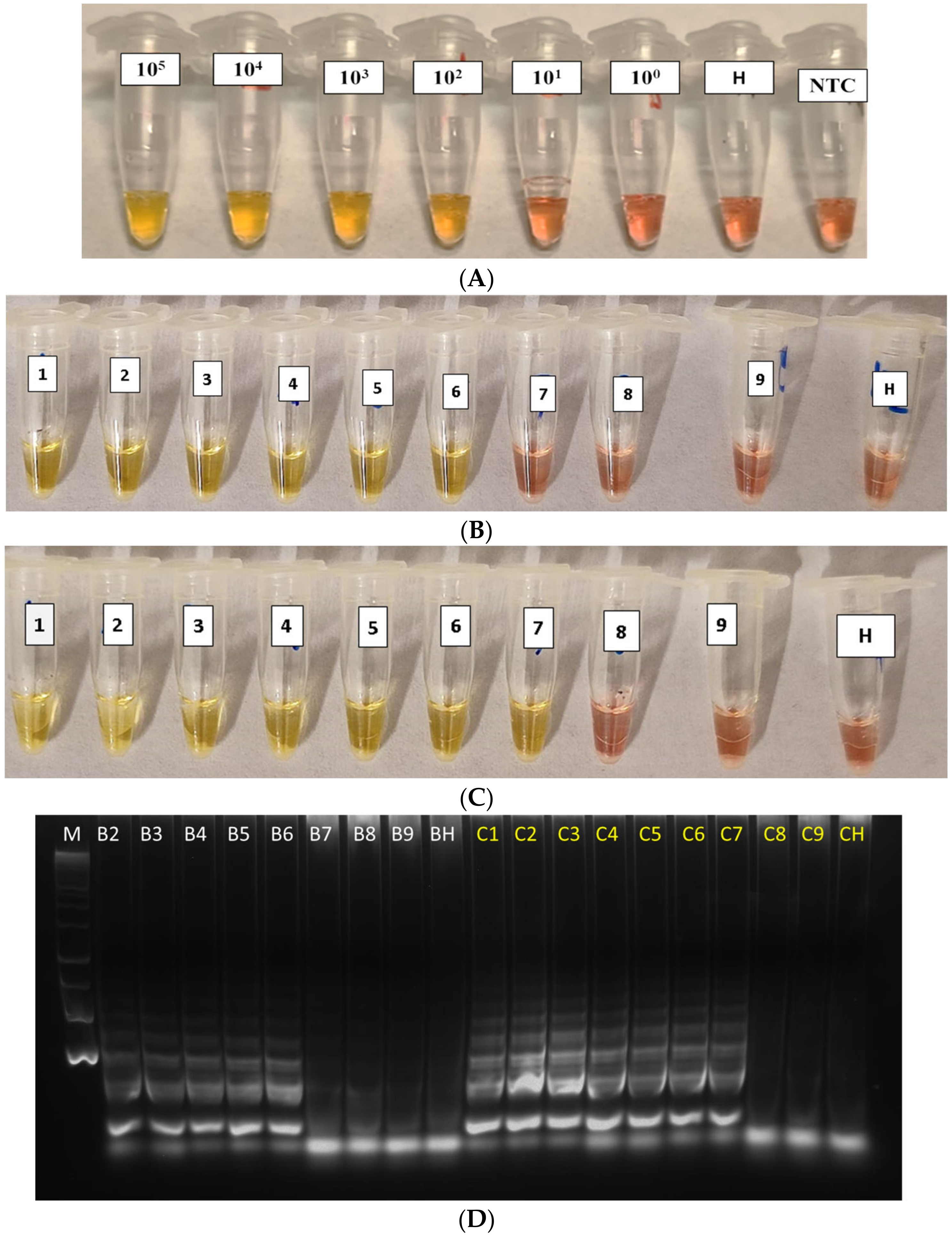 Agriculture 13 00448 g003
