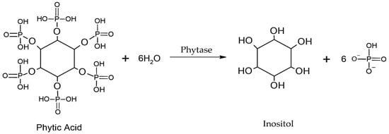 Agriculture | Free Full-Text | Phosphorus-Solubilizing Microorganisms ...