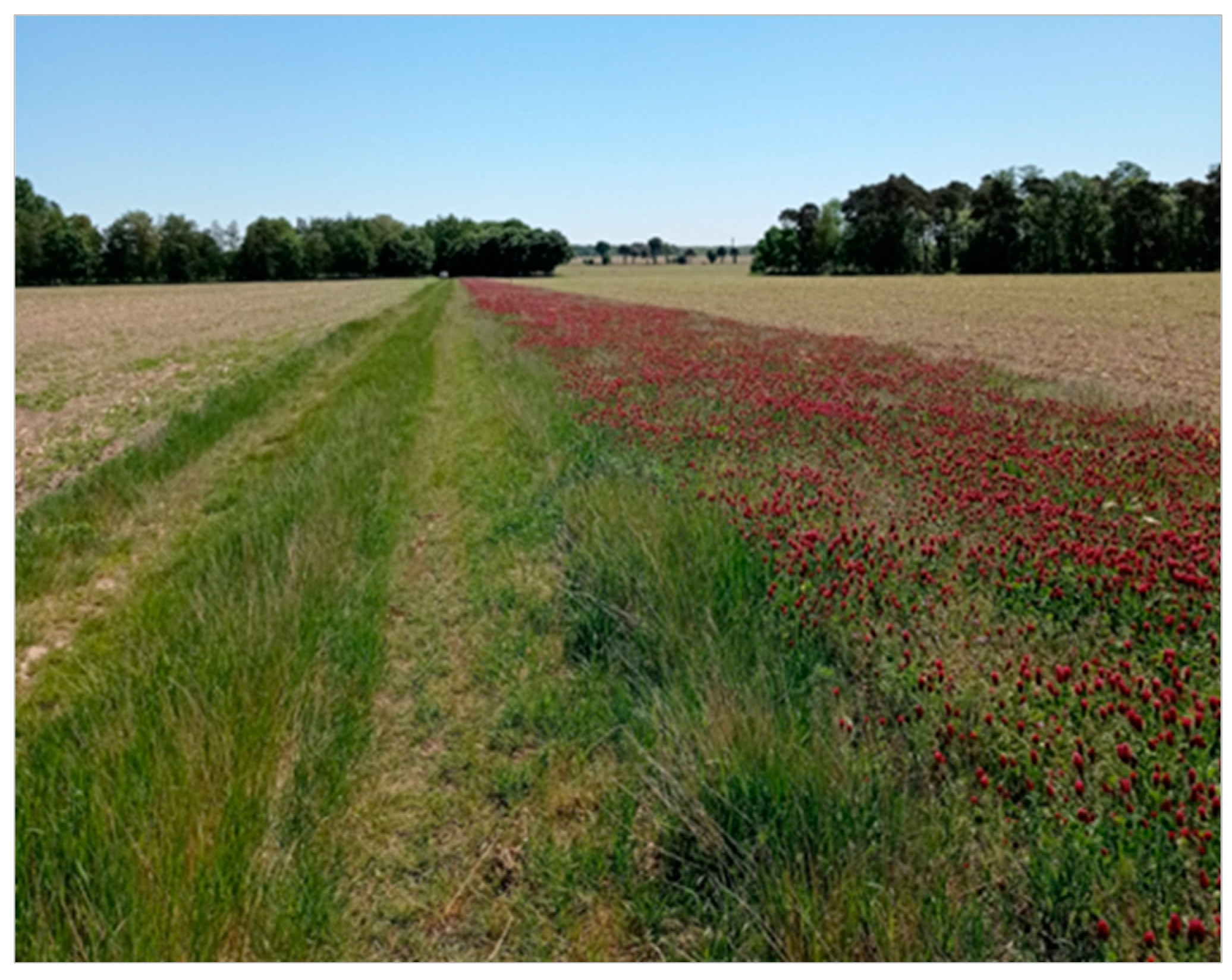 Agriculture 13 00467 sch001 Agriculture 13 00467 sch001