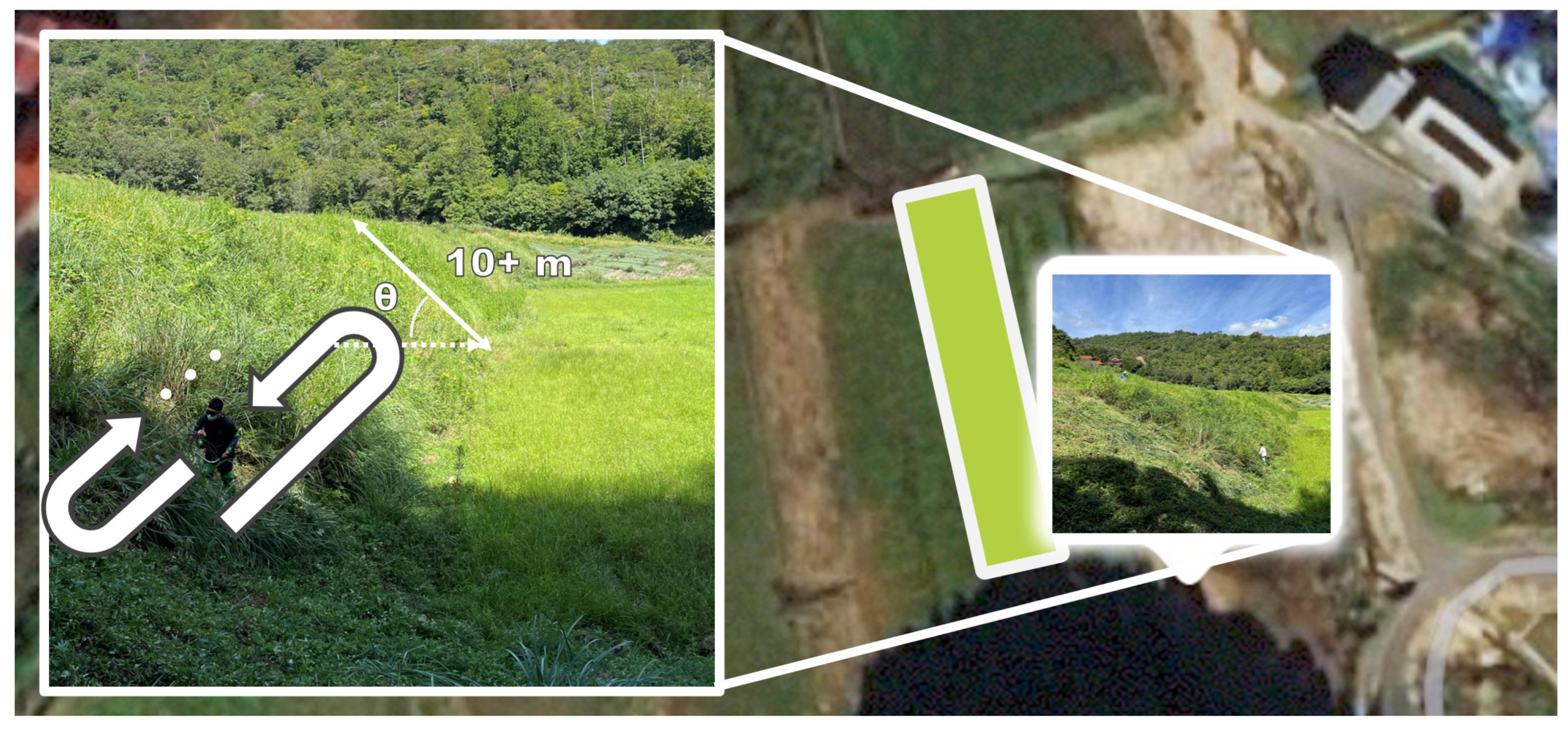 Agriculture 13 00489 g006