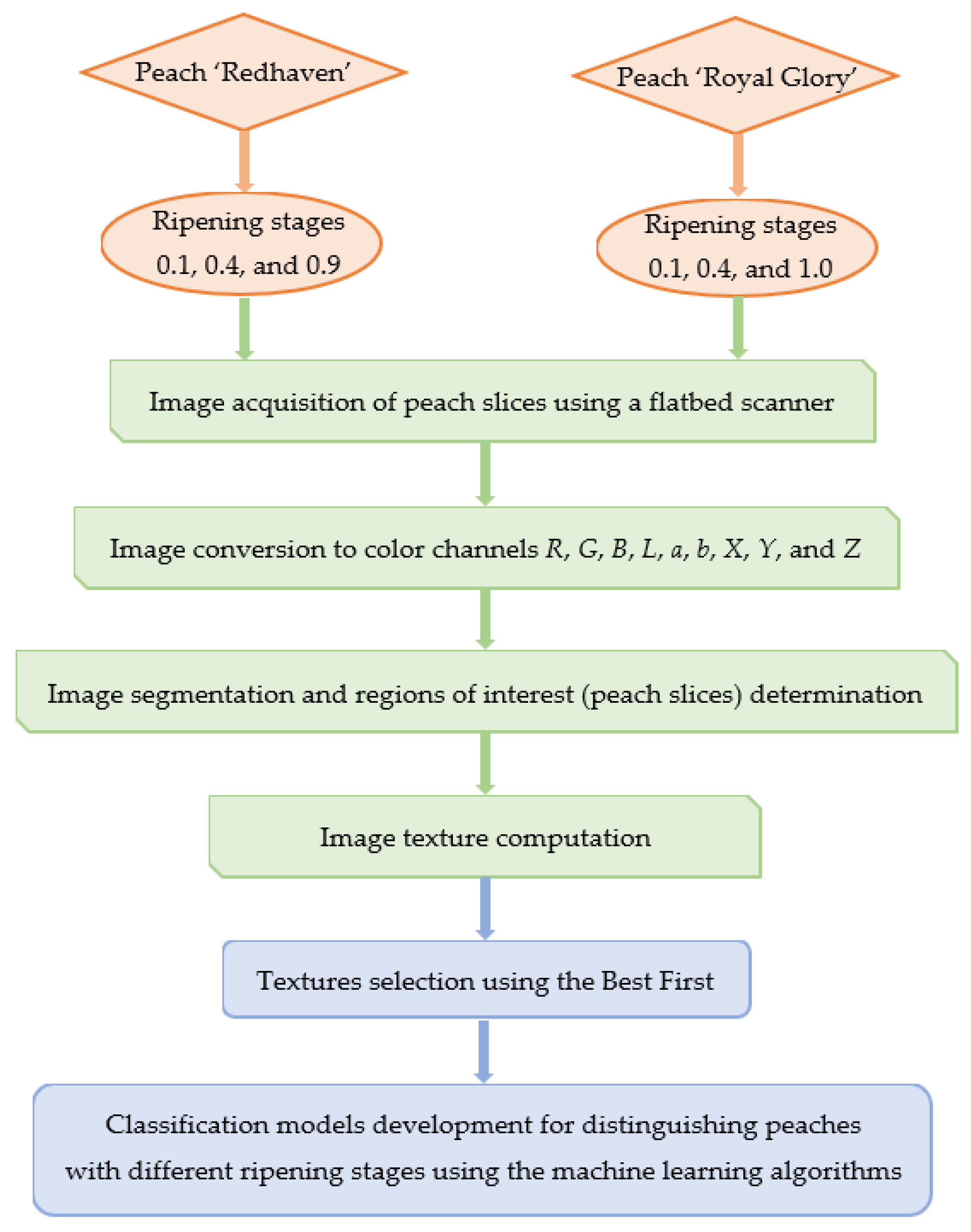 Agriculture 13 00498 g002 Agriculture 13 00498 g002