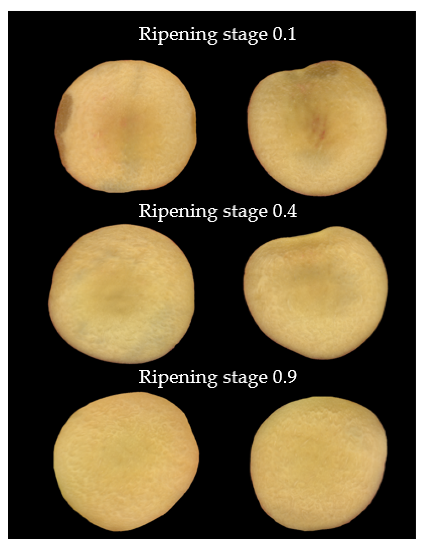 Agriculture 13 00498 g003 Agriculture 13 00498 g003