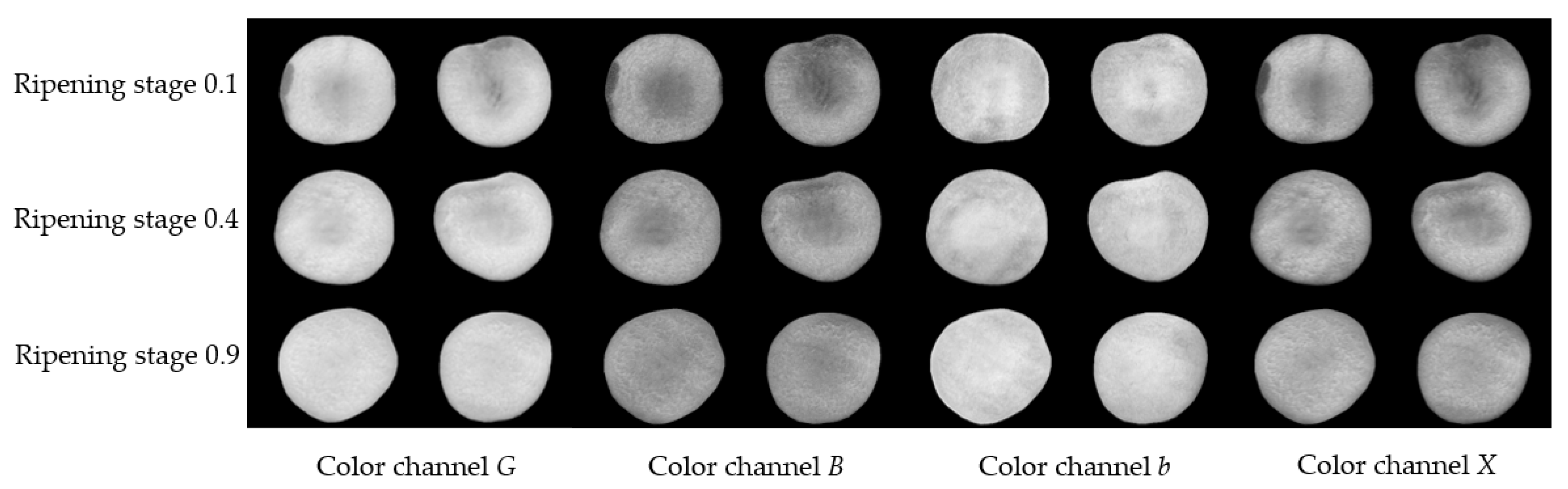 Agriculture 13 00498 g004 Agriculture 13 00498 g004