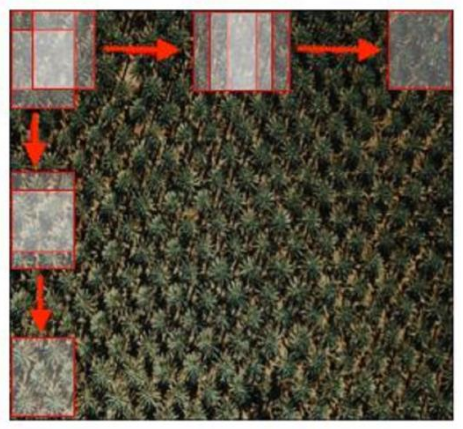 Agriculture 13 00504 g003