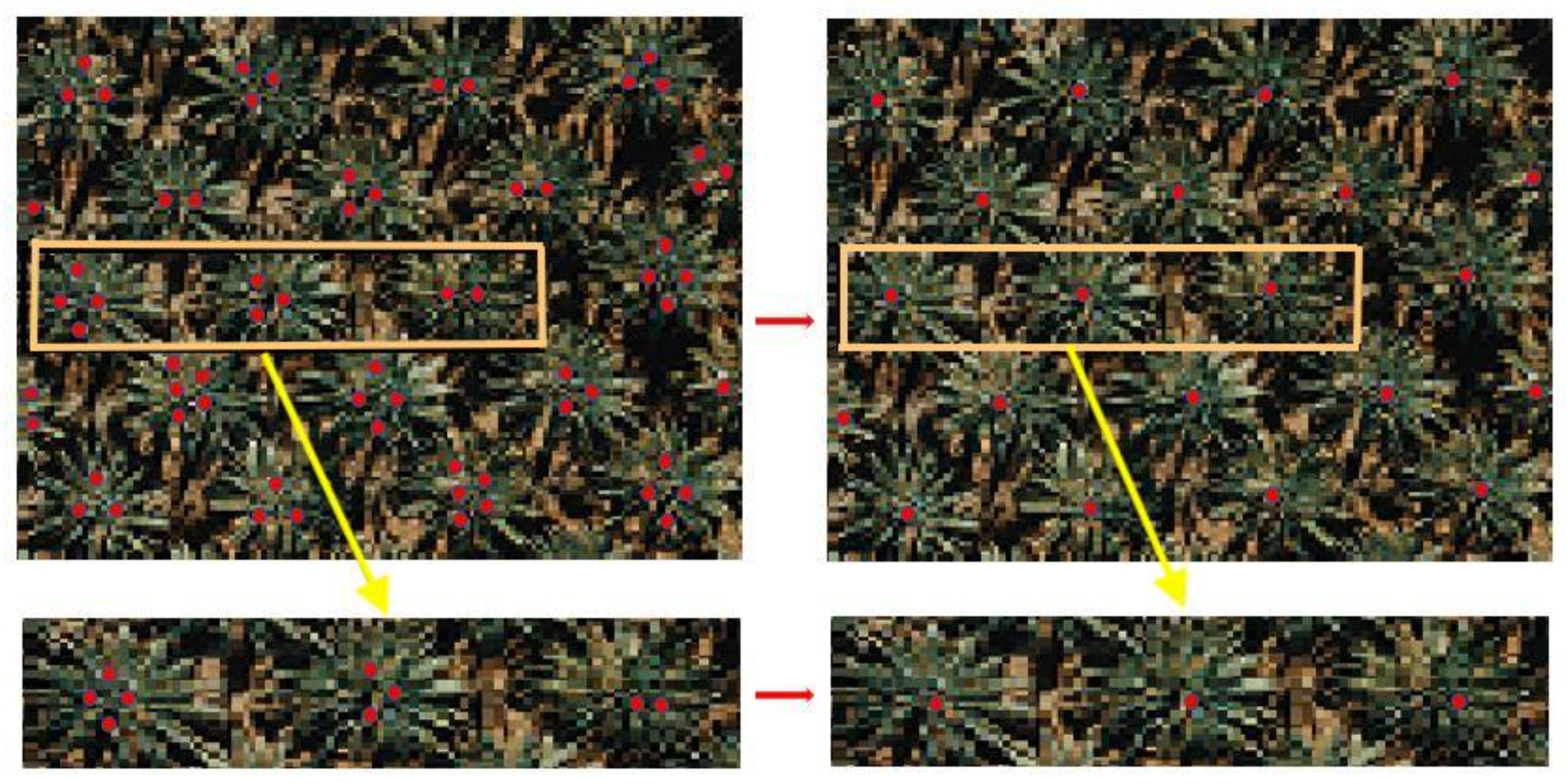 Agriculture 13 00504 g004