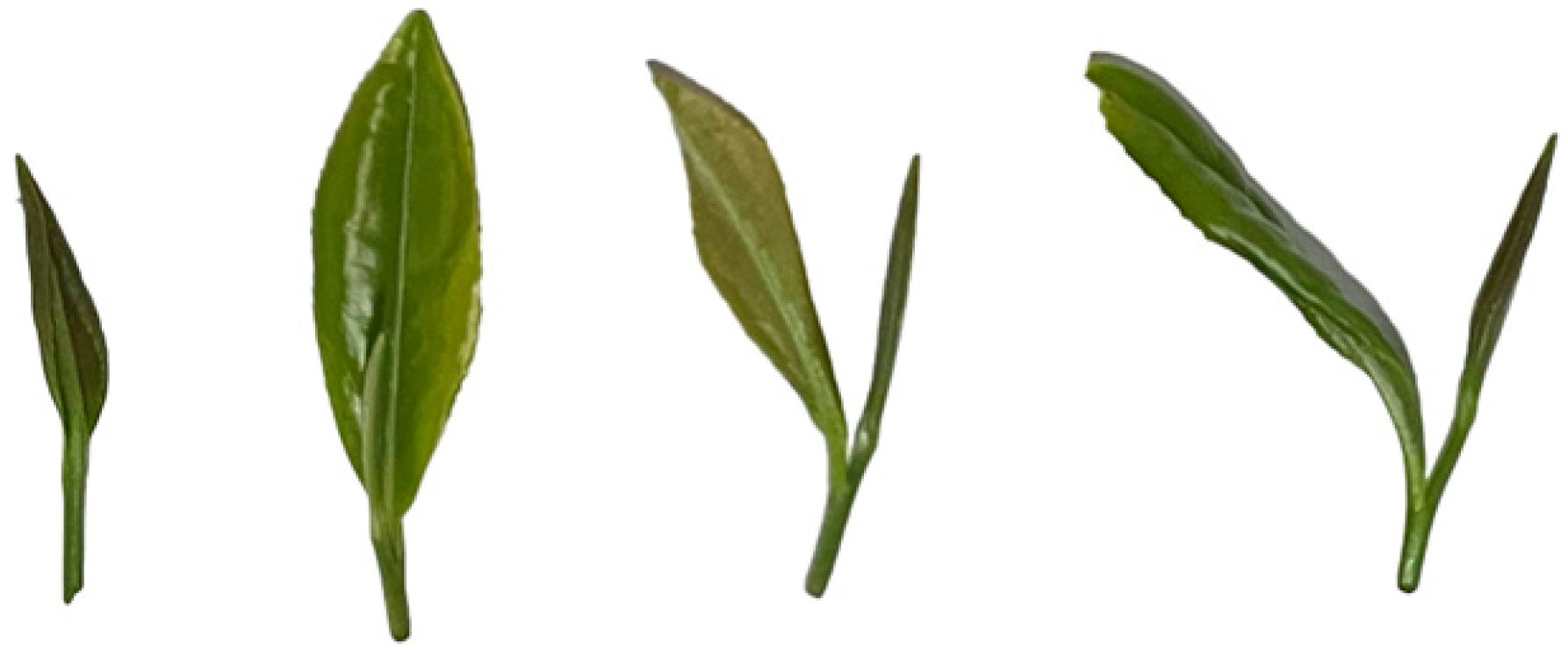 Agriculture 13 00518 g005