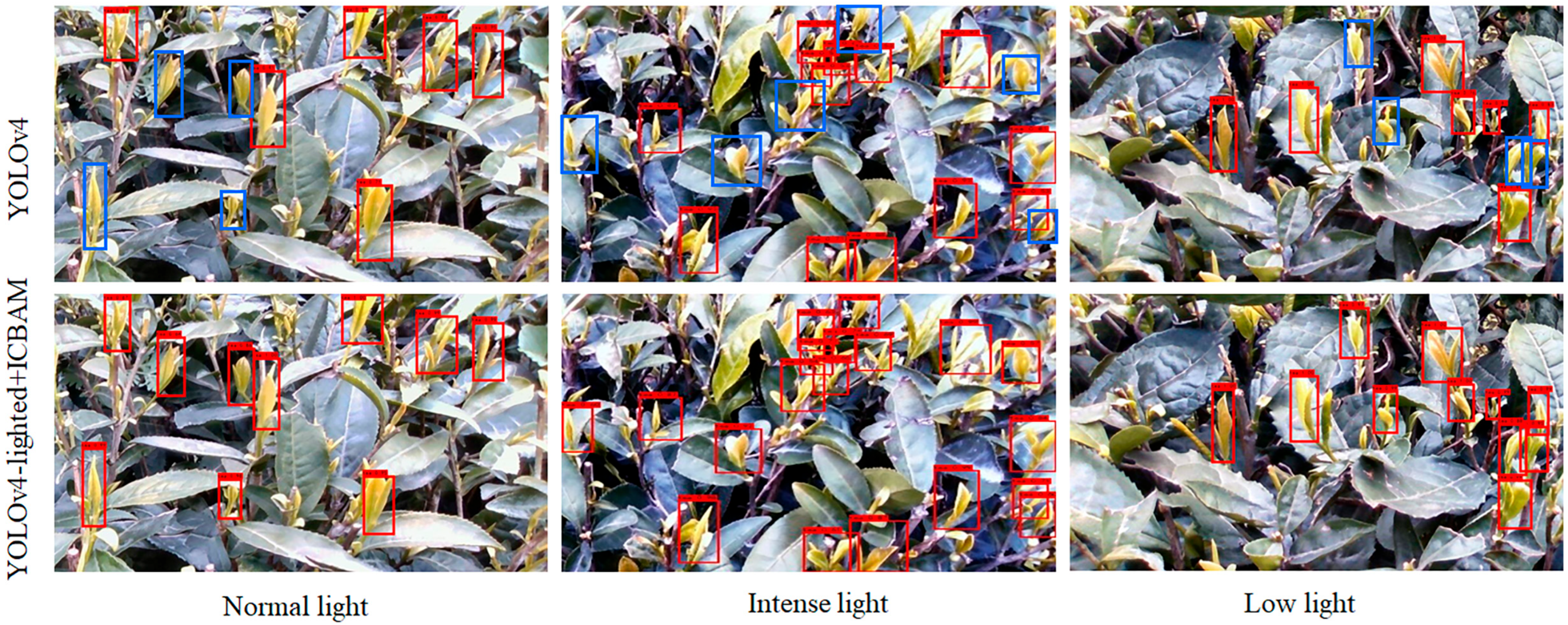 Agriculture 13 00518 g011