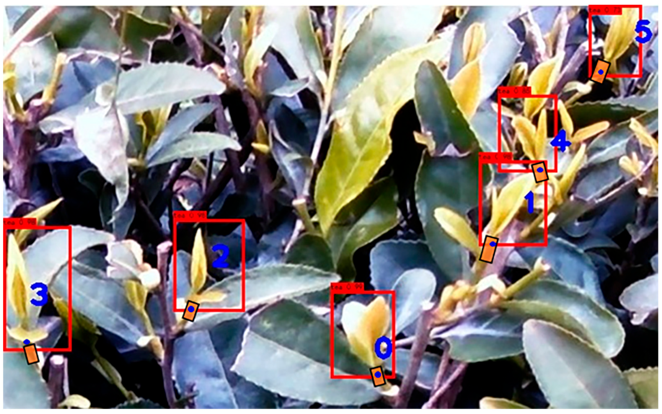 Agriculture 13 00518 g014