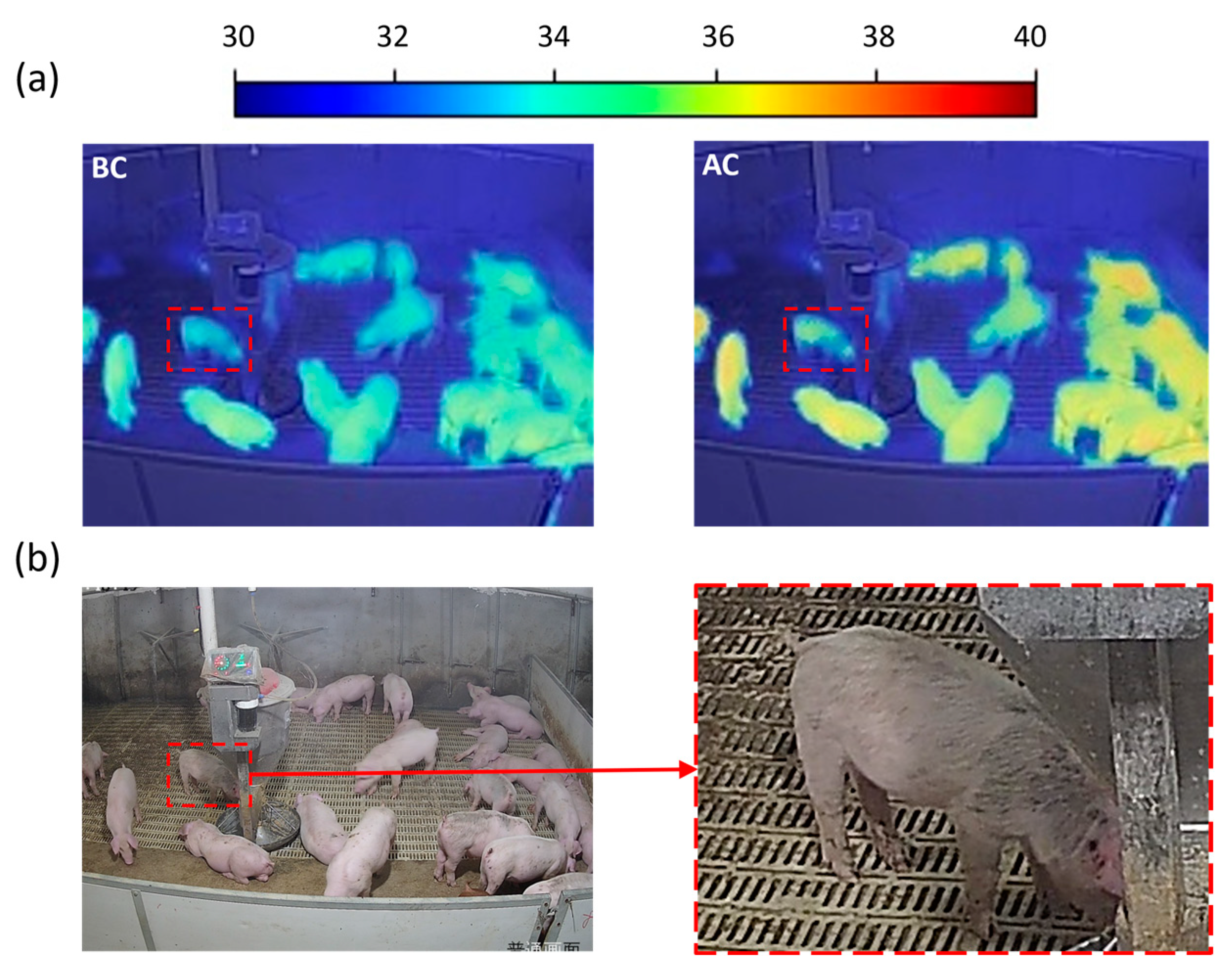 Agriculture 13 00520 g007