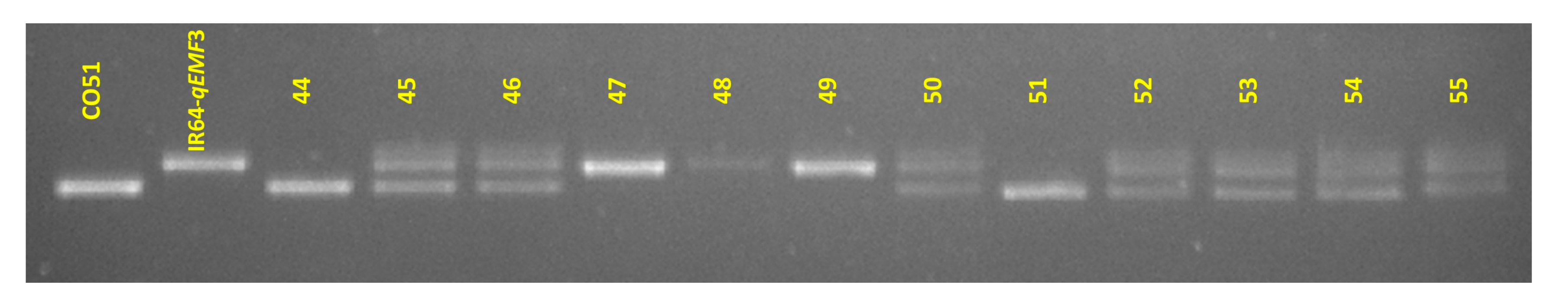 Agriculture 13 00553 g003 Agriculture 13 00553 g003