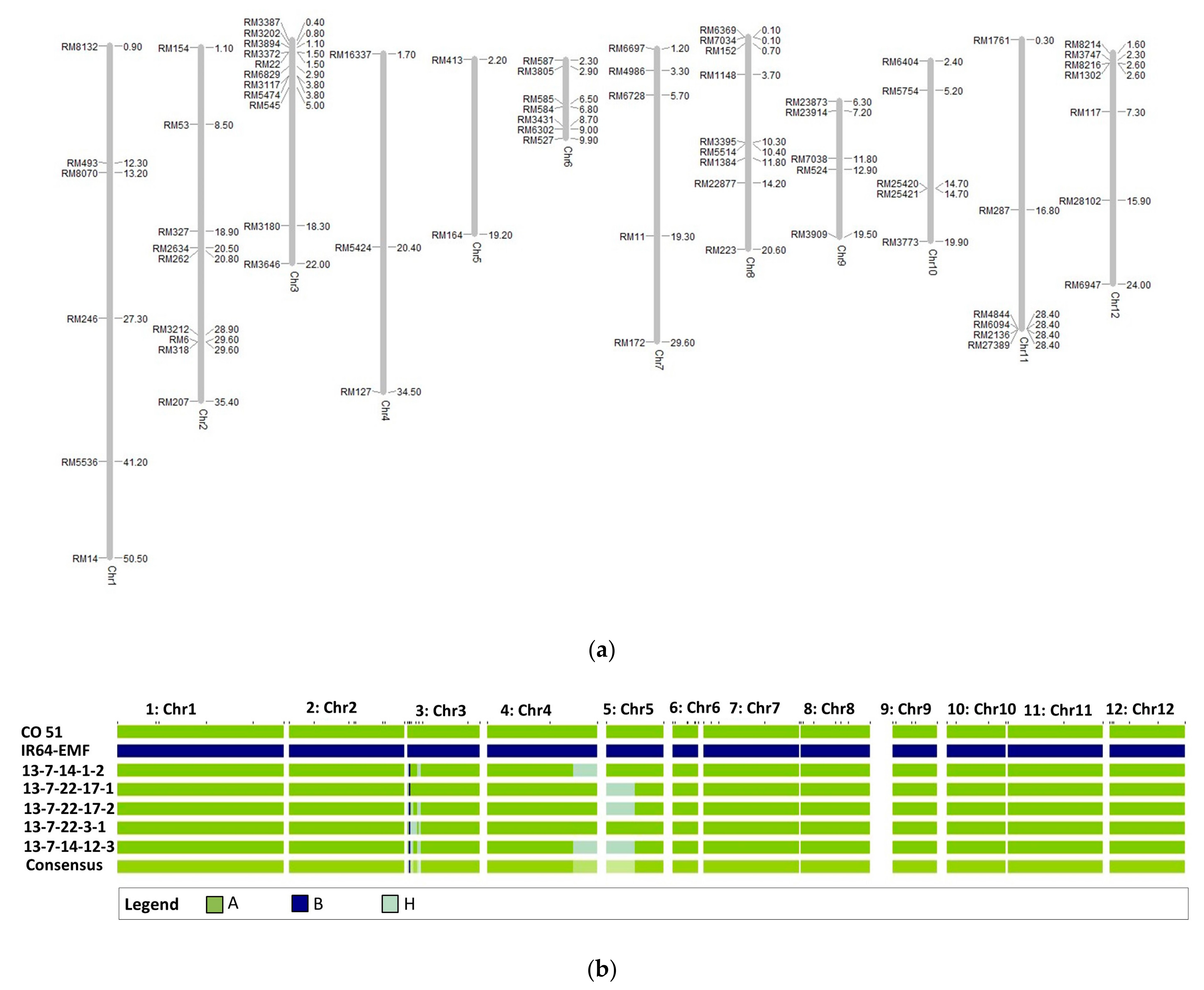 Agriculture 13 00553 g004 Agriculture 13 00553 g004