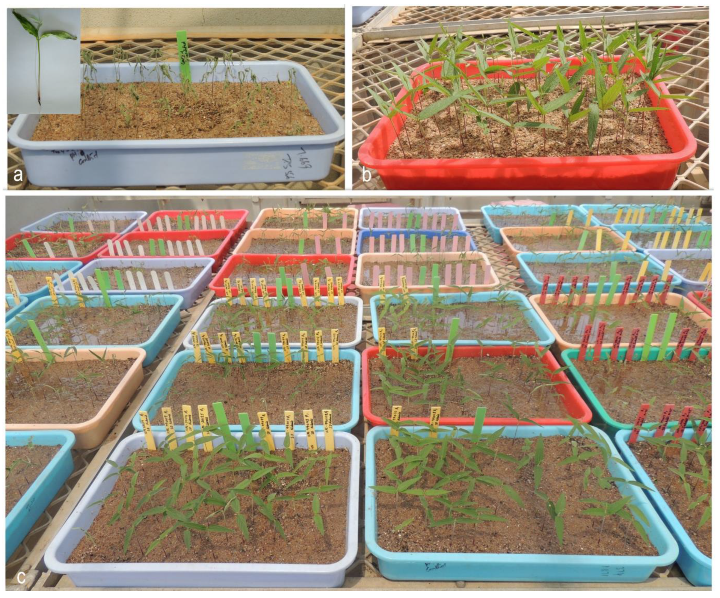 Agriculture 13 00633 g003