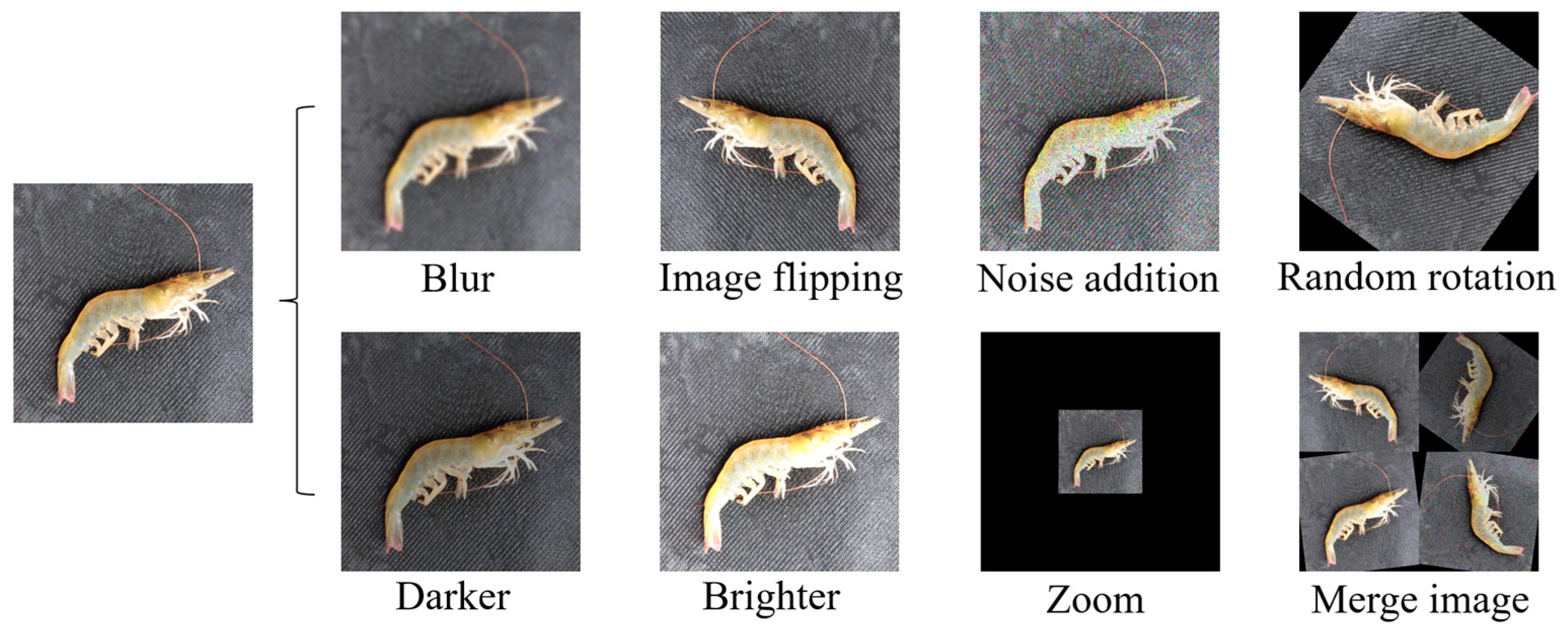 Agriculture 13 00690 g007 Agriculture 13 00690 g007